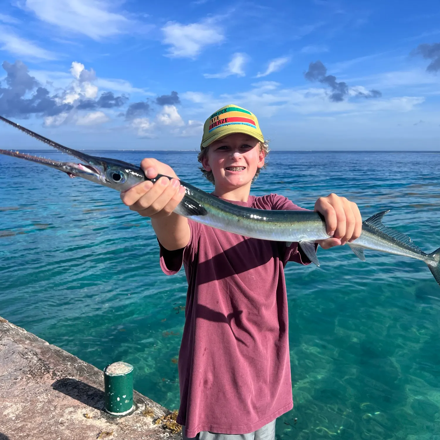 The most recent Flat needlefish catches on Fishbrain