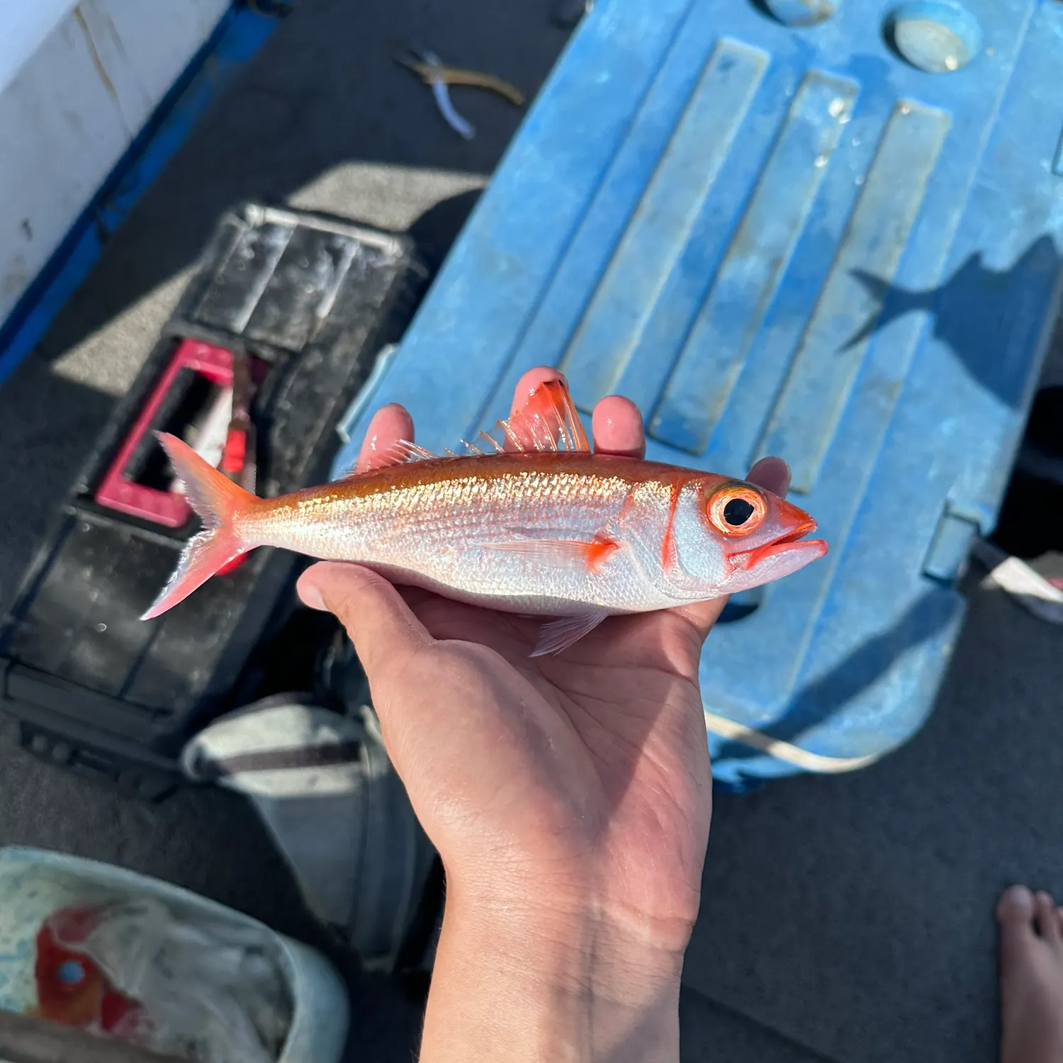 most liked catch image