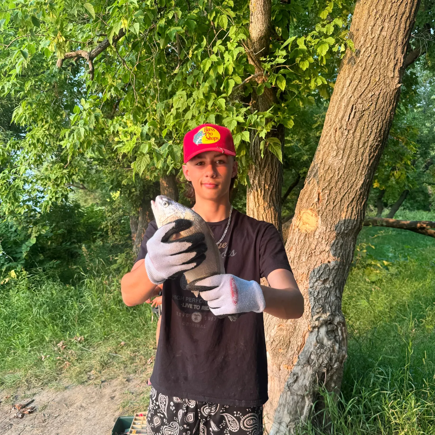 catch