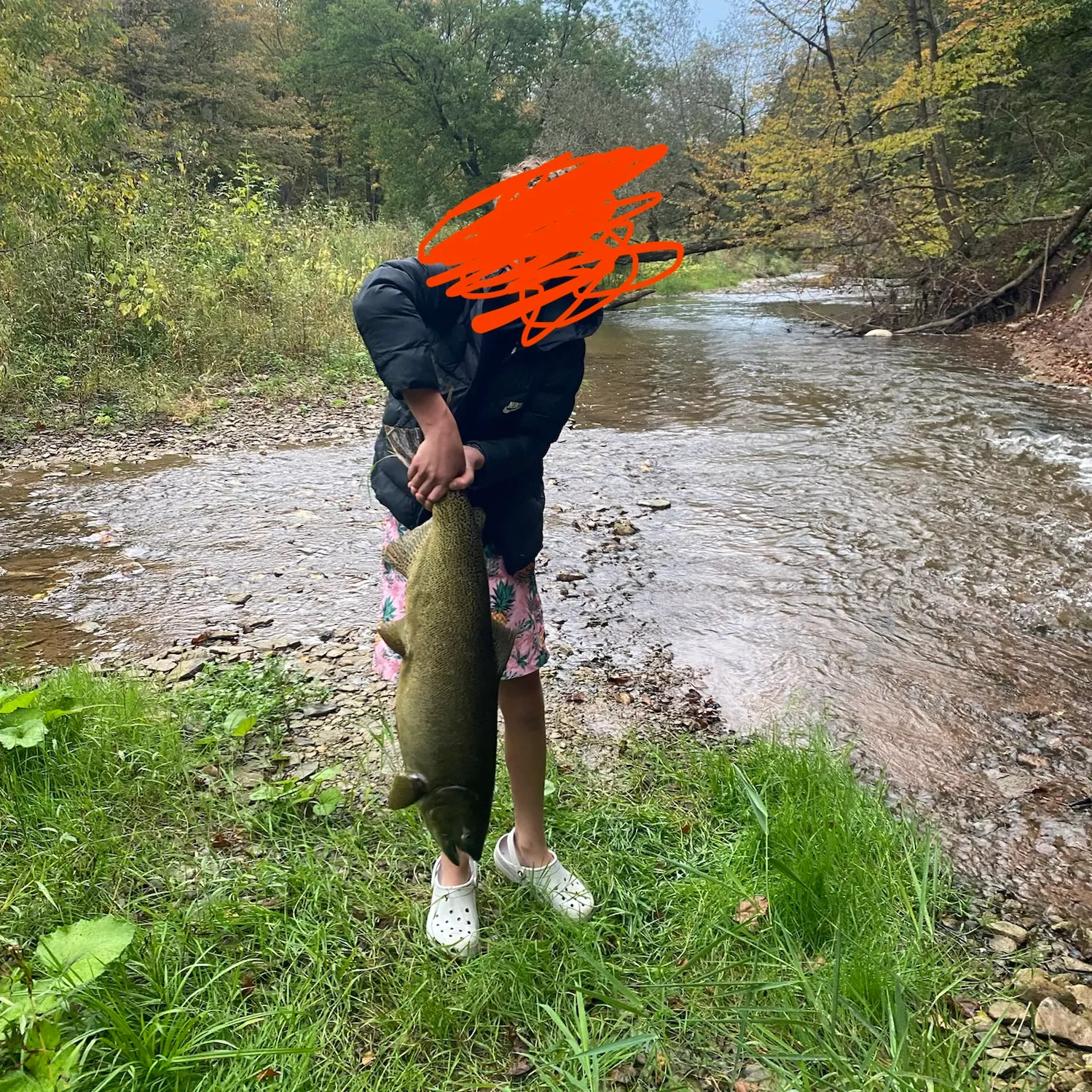 Chinook salmon caught on Fishbrain