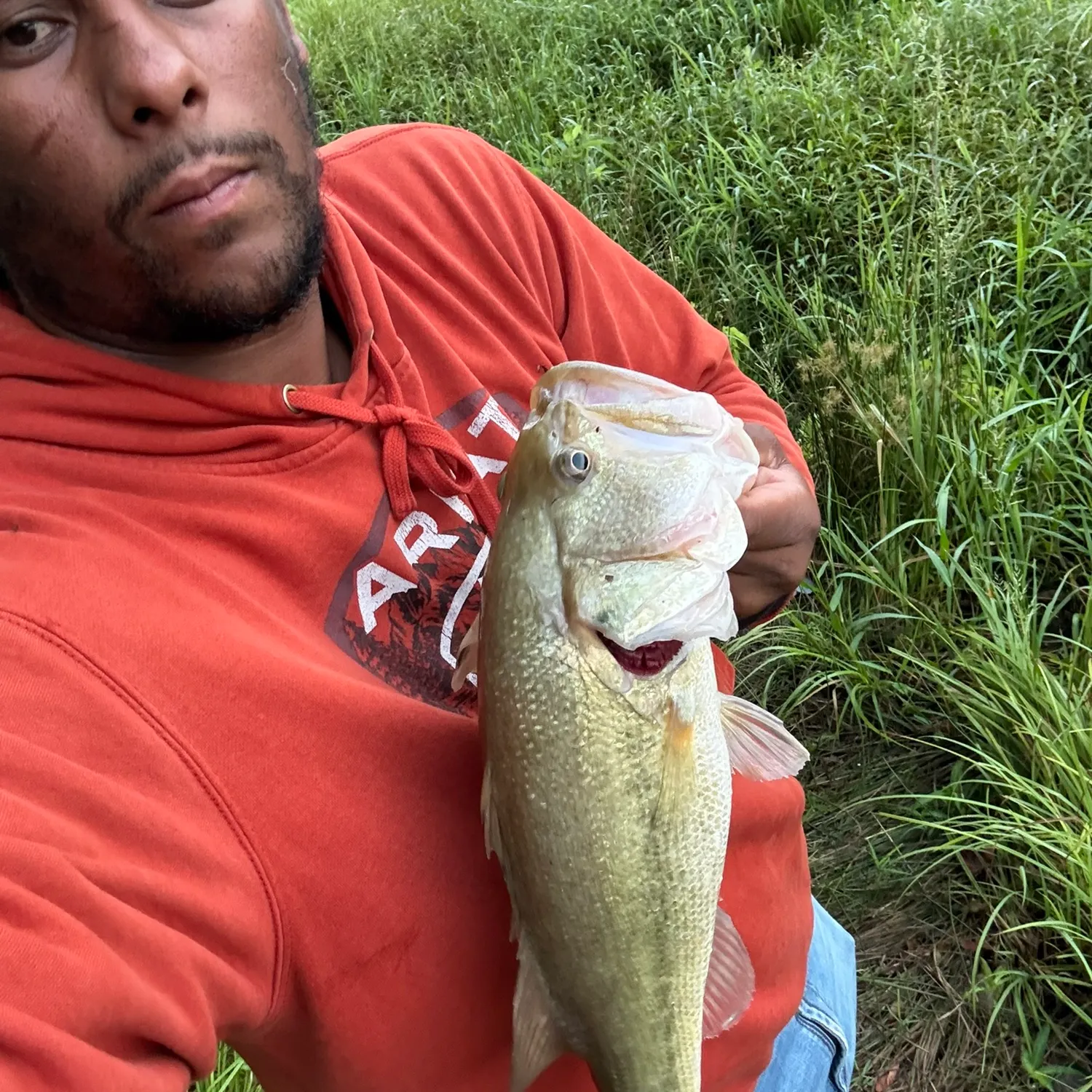 Largemouth bass caught on Fishbrain