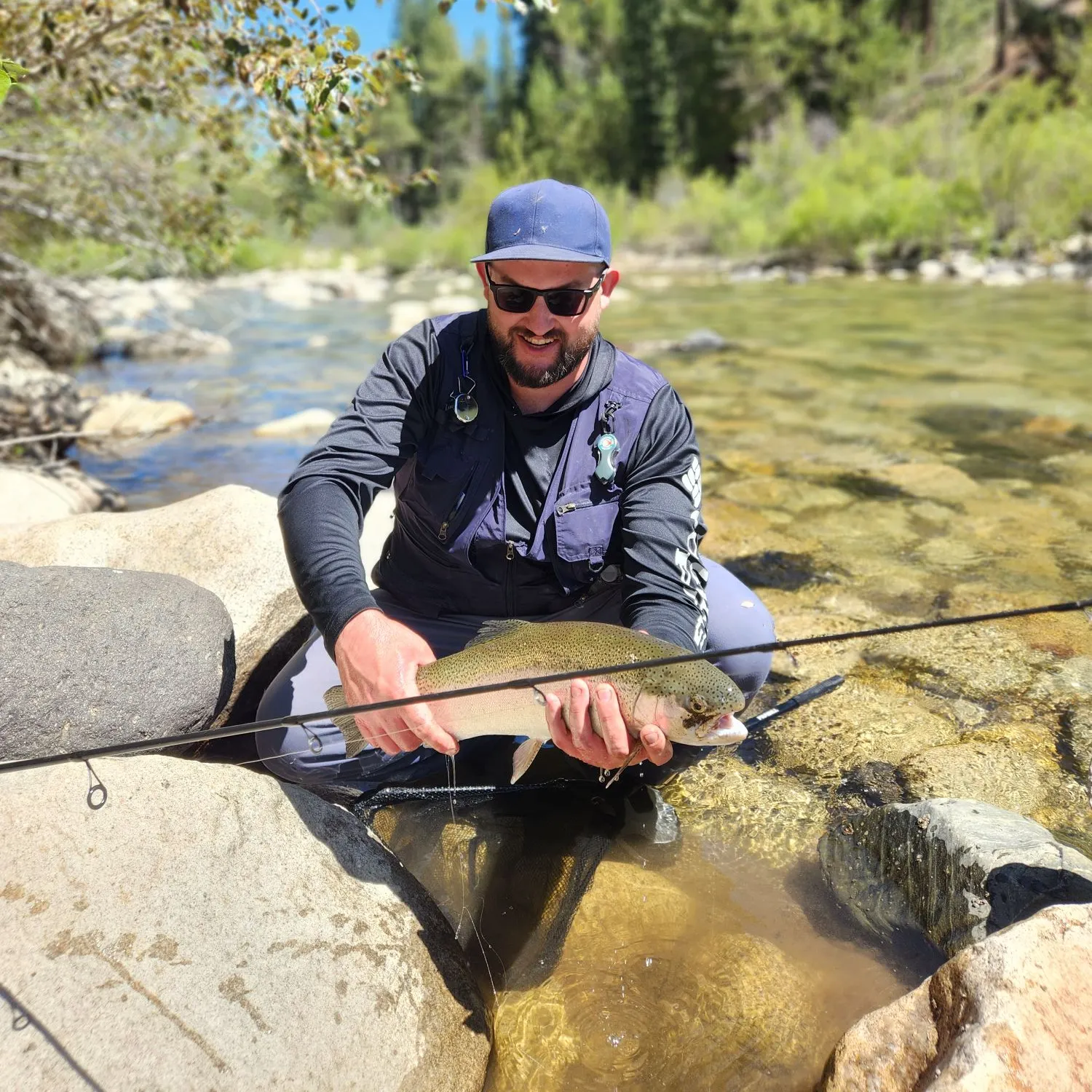Rainbow trout caught on Fishbrain