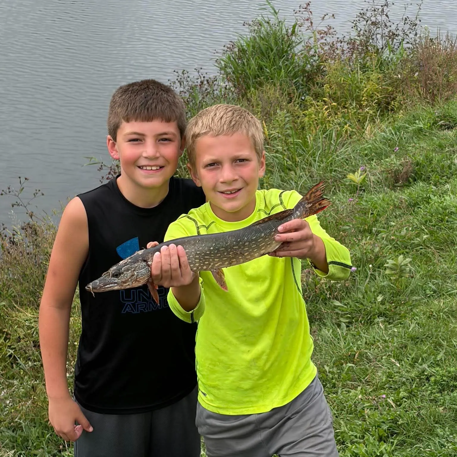 Northern pike caught on Fishbrain