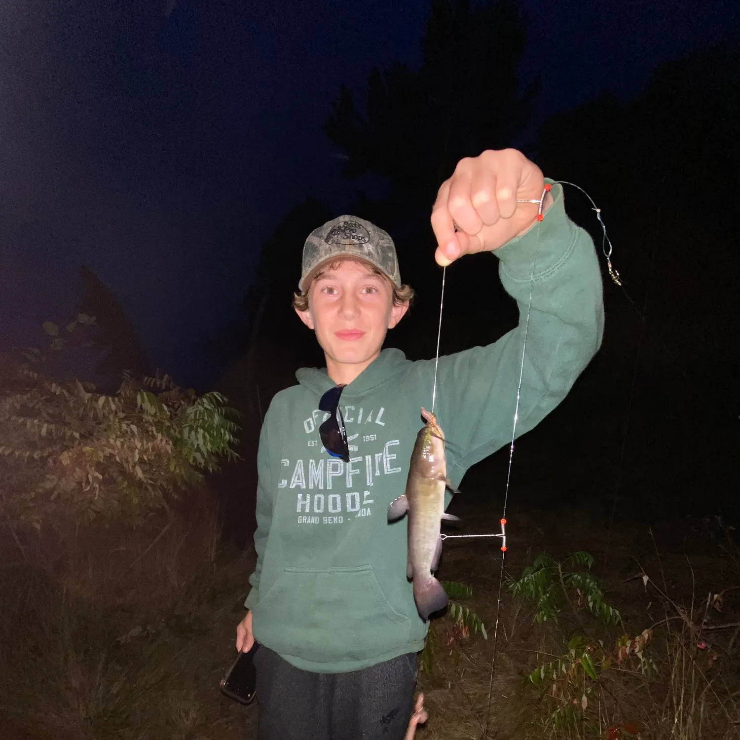 The most recent Brown bullhead catches on Fishbrain