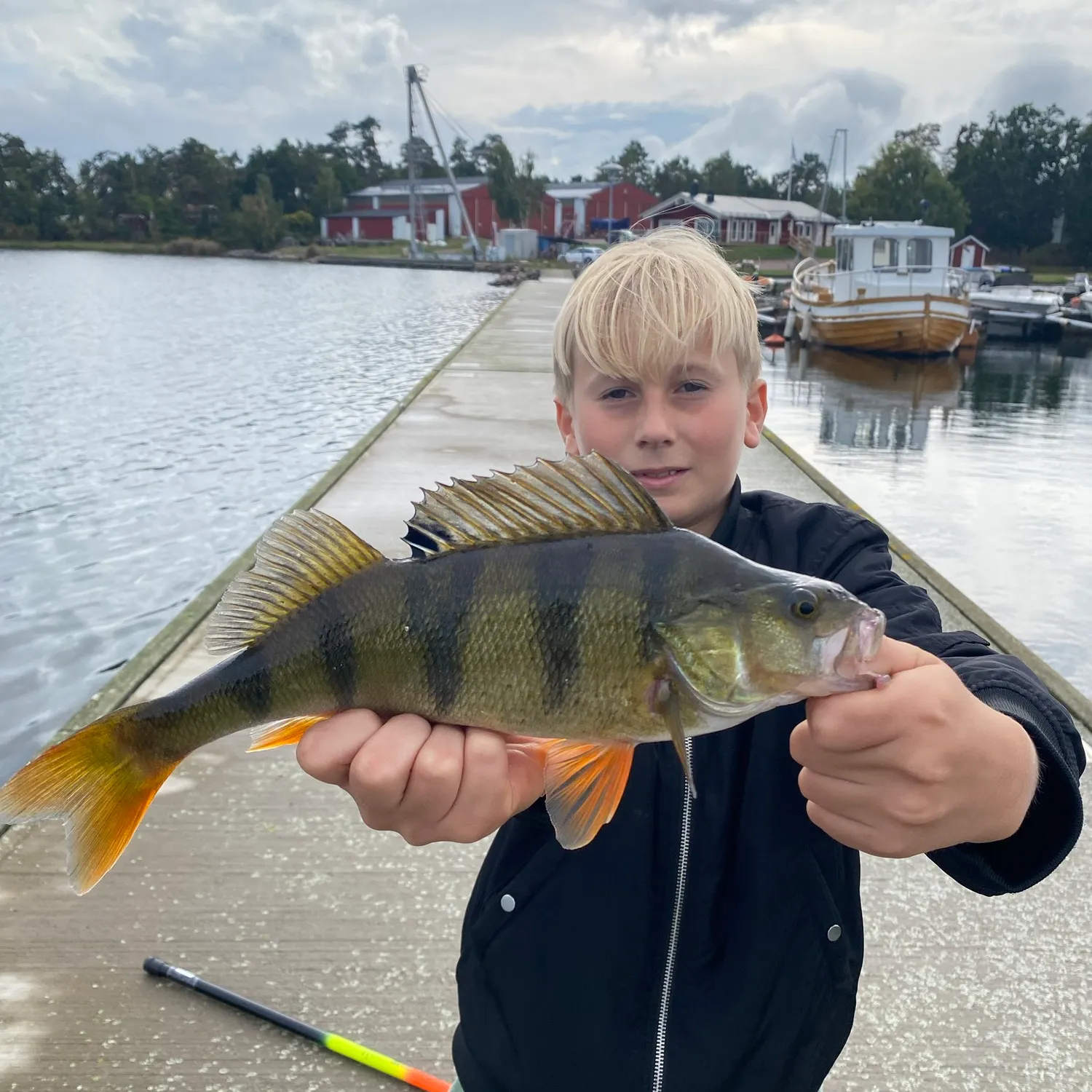 European perch caught on Fishbrain