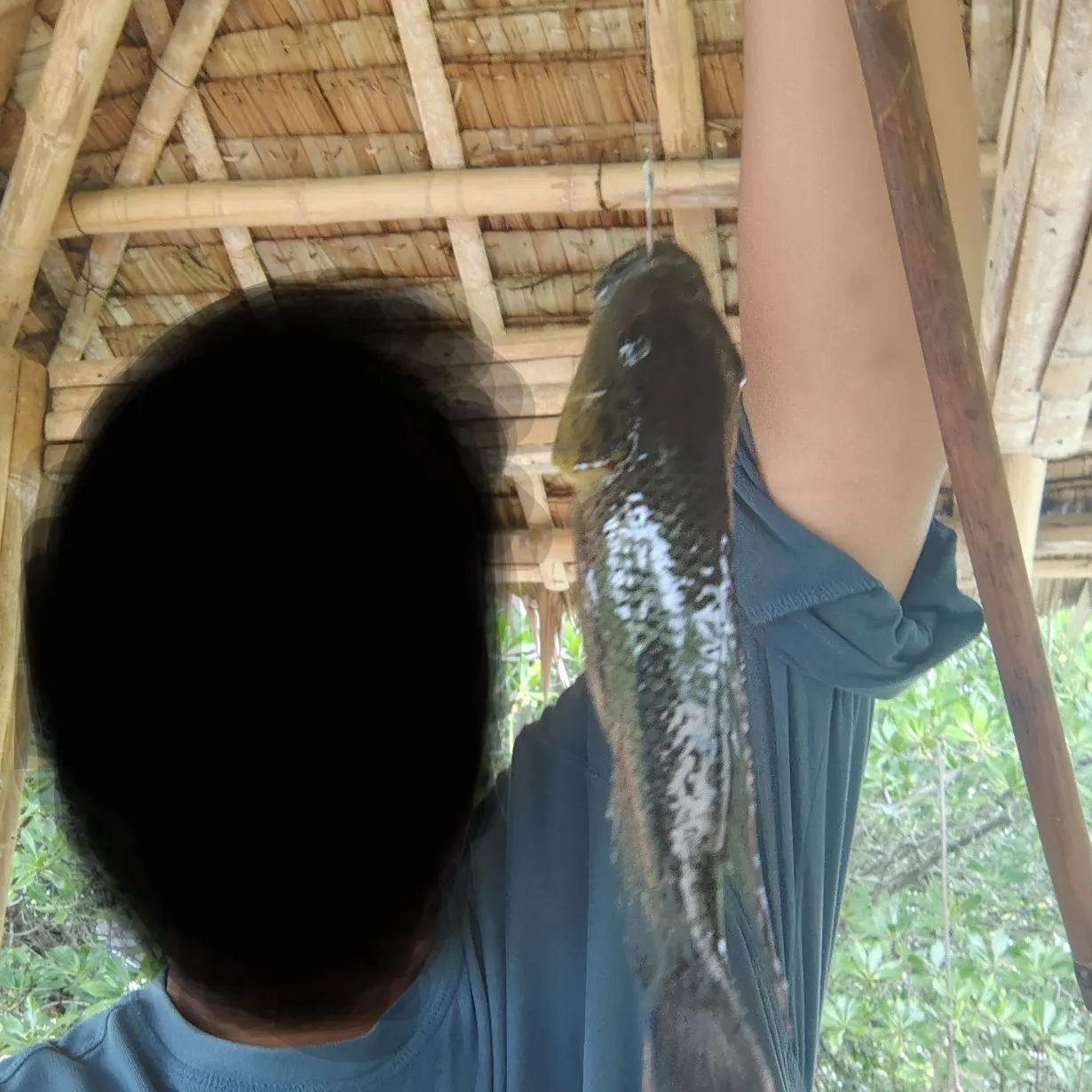 The most recent Wami tilapia catches on Fishbrain