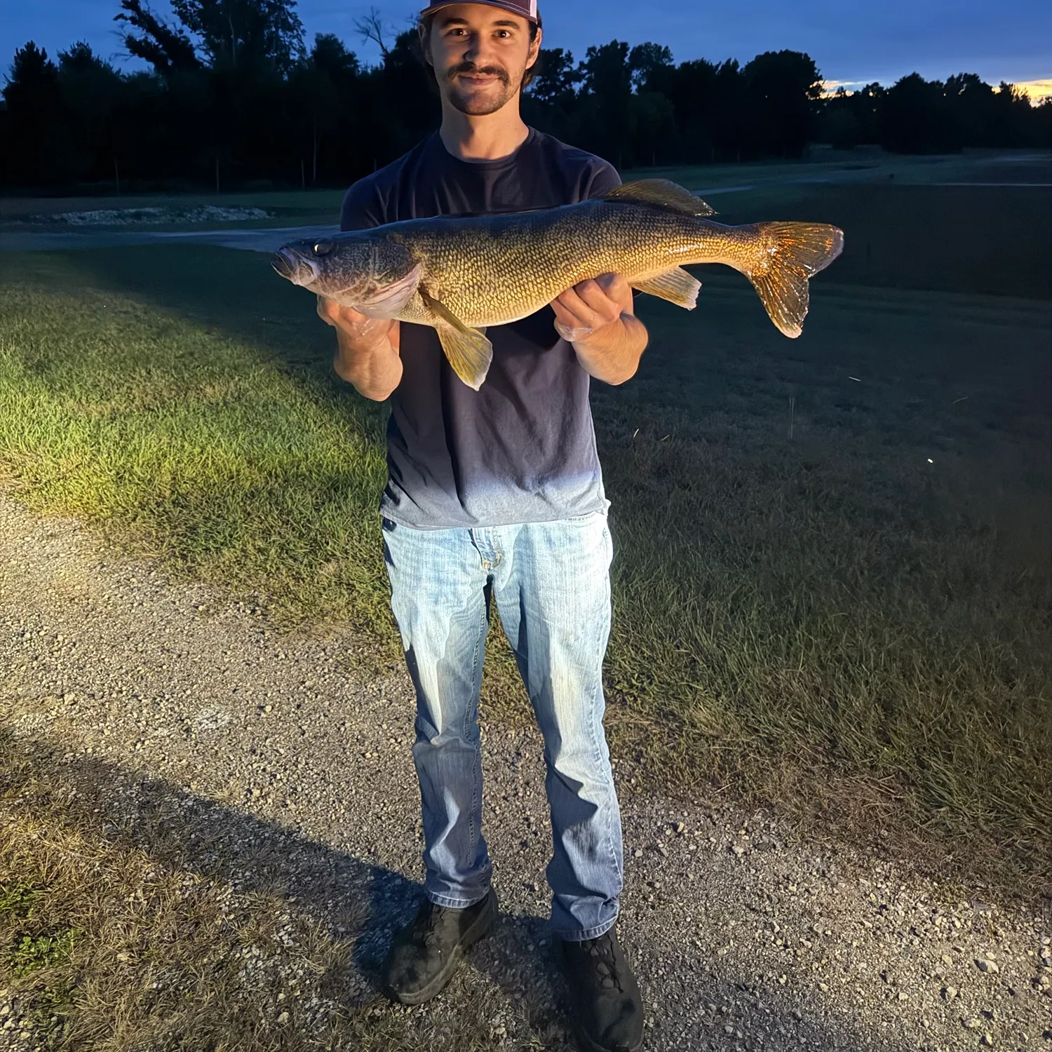 Walleye caught on Fishbrain