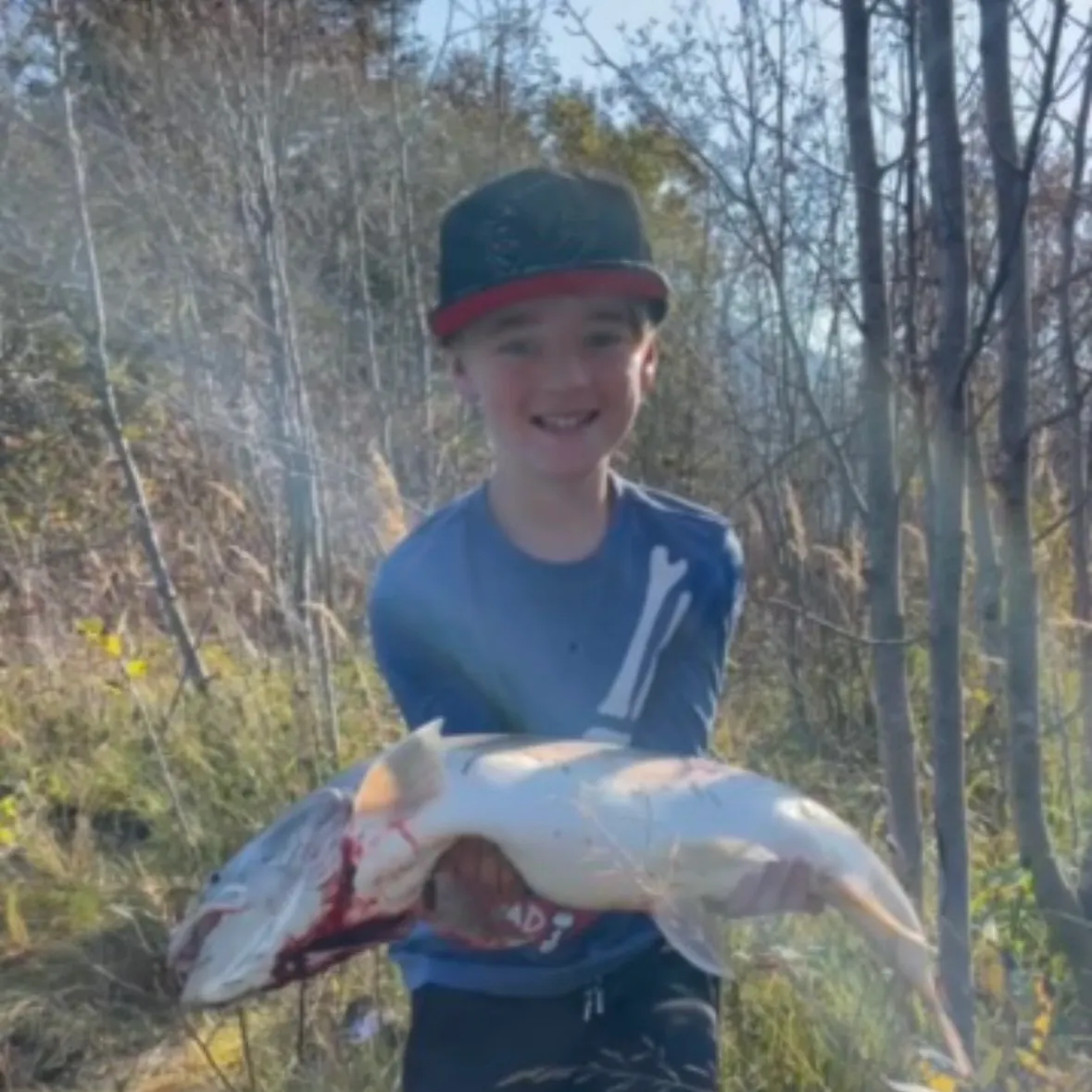 Chinook salmon caught on Fishbrain
