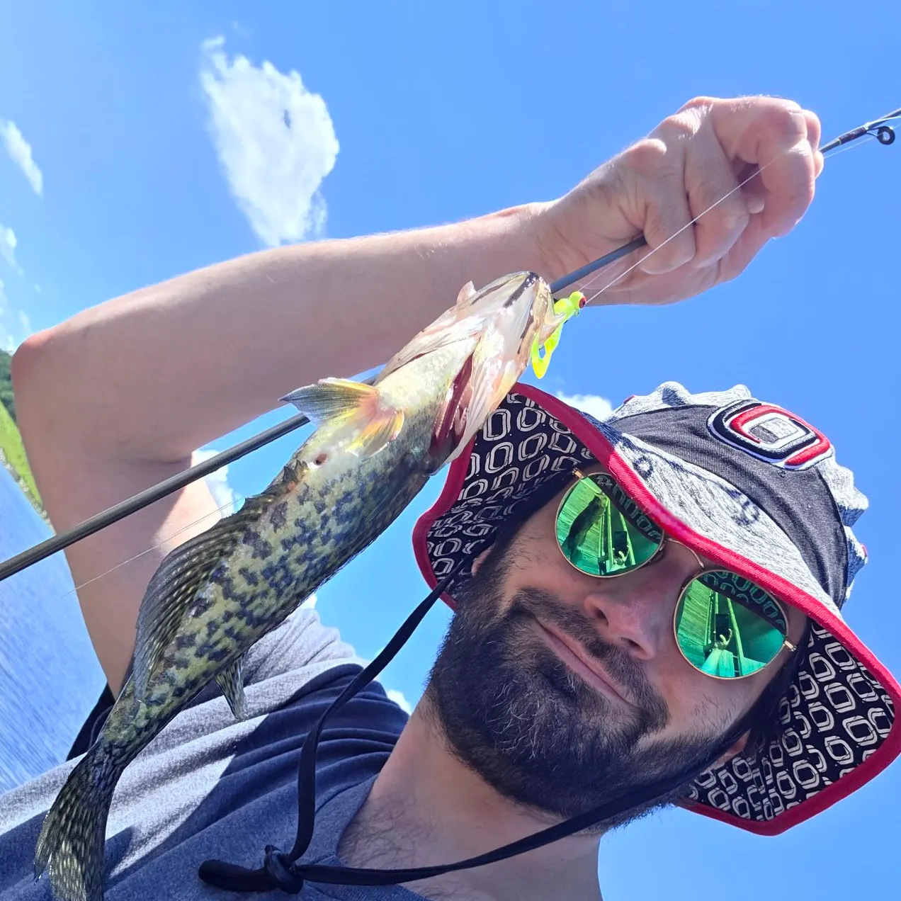 Black crappie caught on Fishbrain