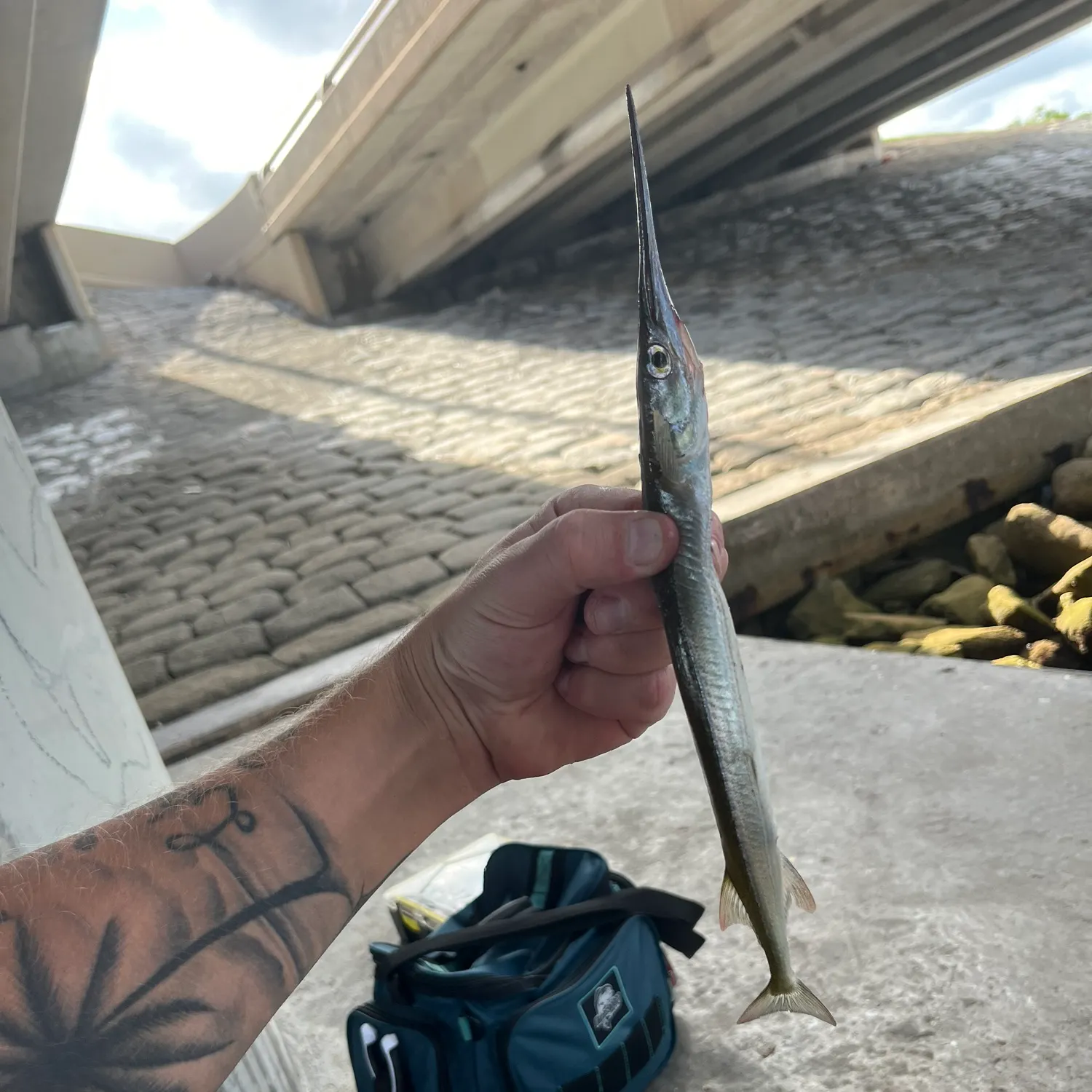 catch