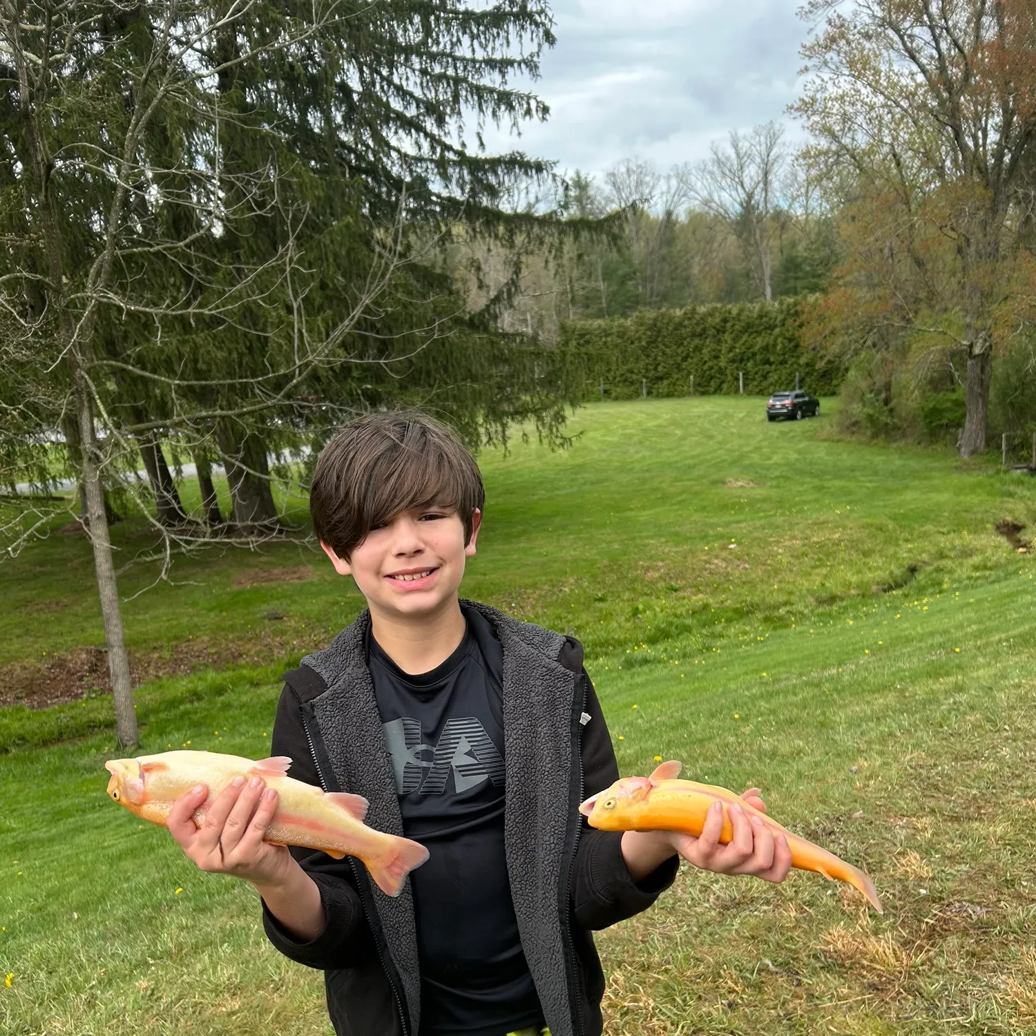 The most recent Golden rainbow trout catches on Fishbrain