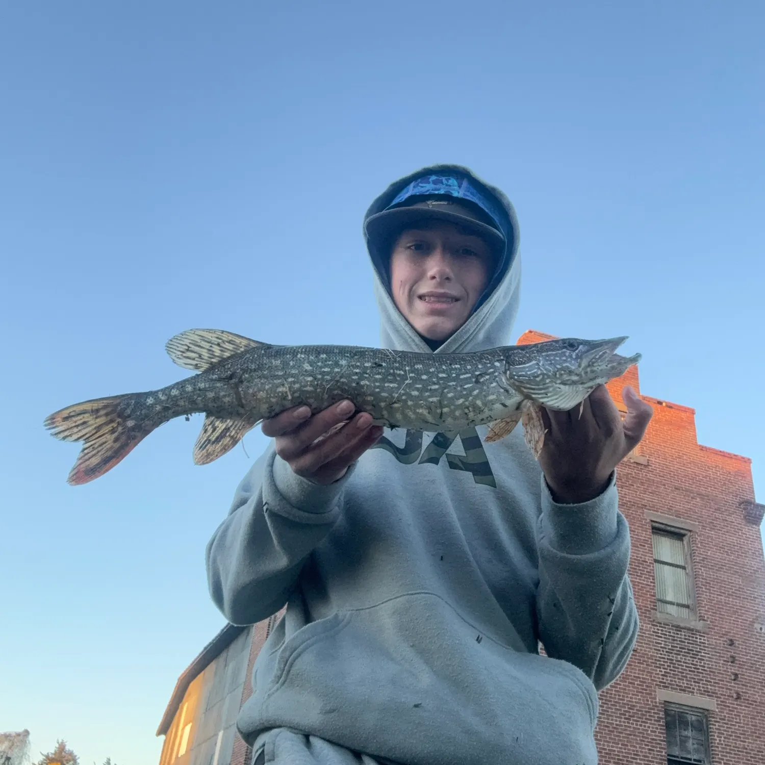 Northern pike caught on Fishbrain