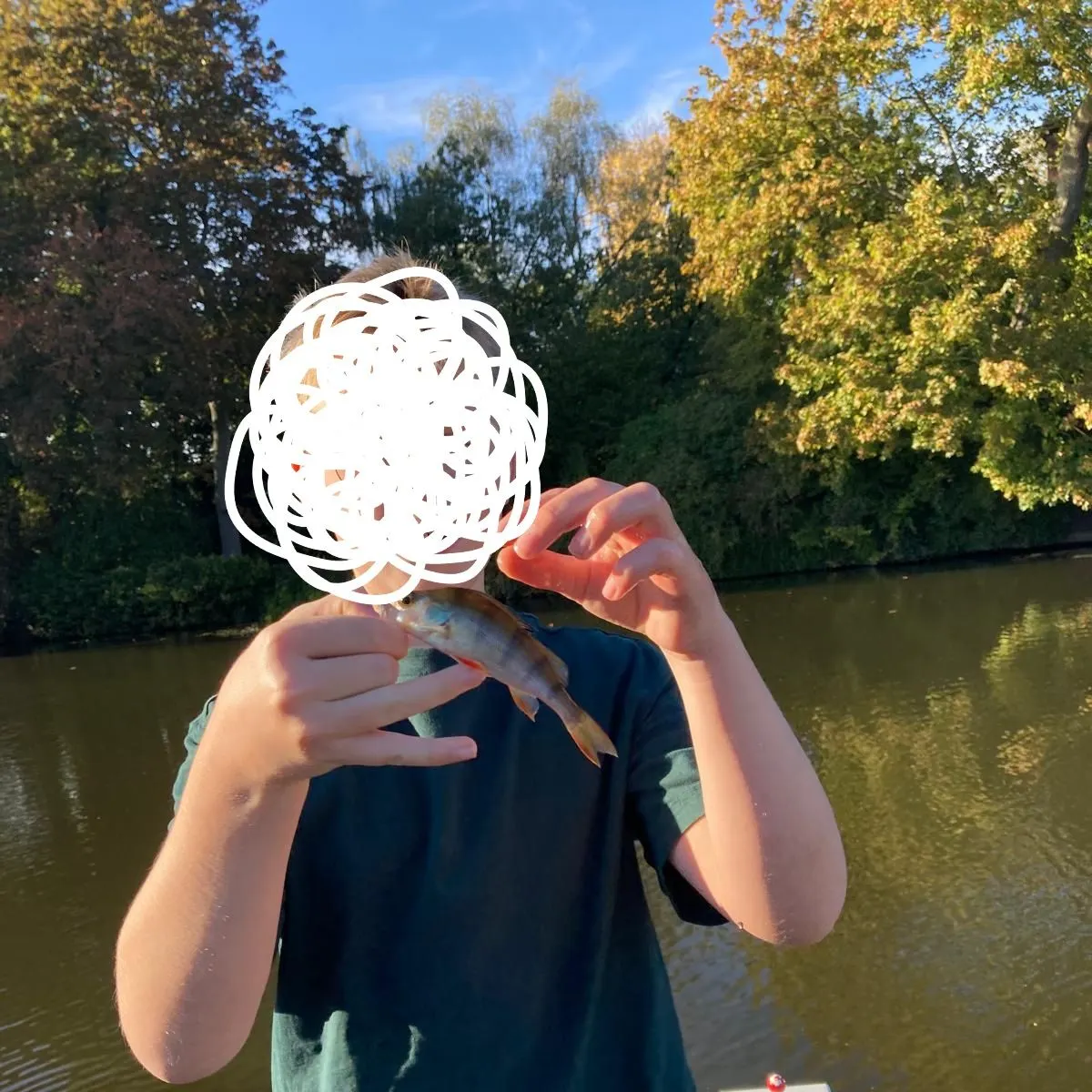 European perch caught on Fishbrain