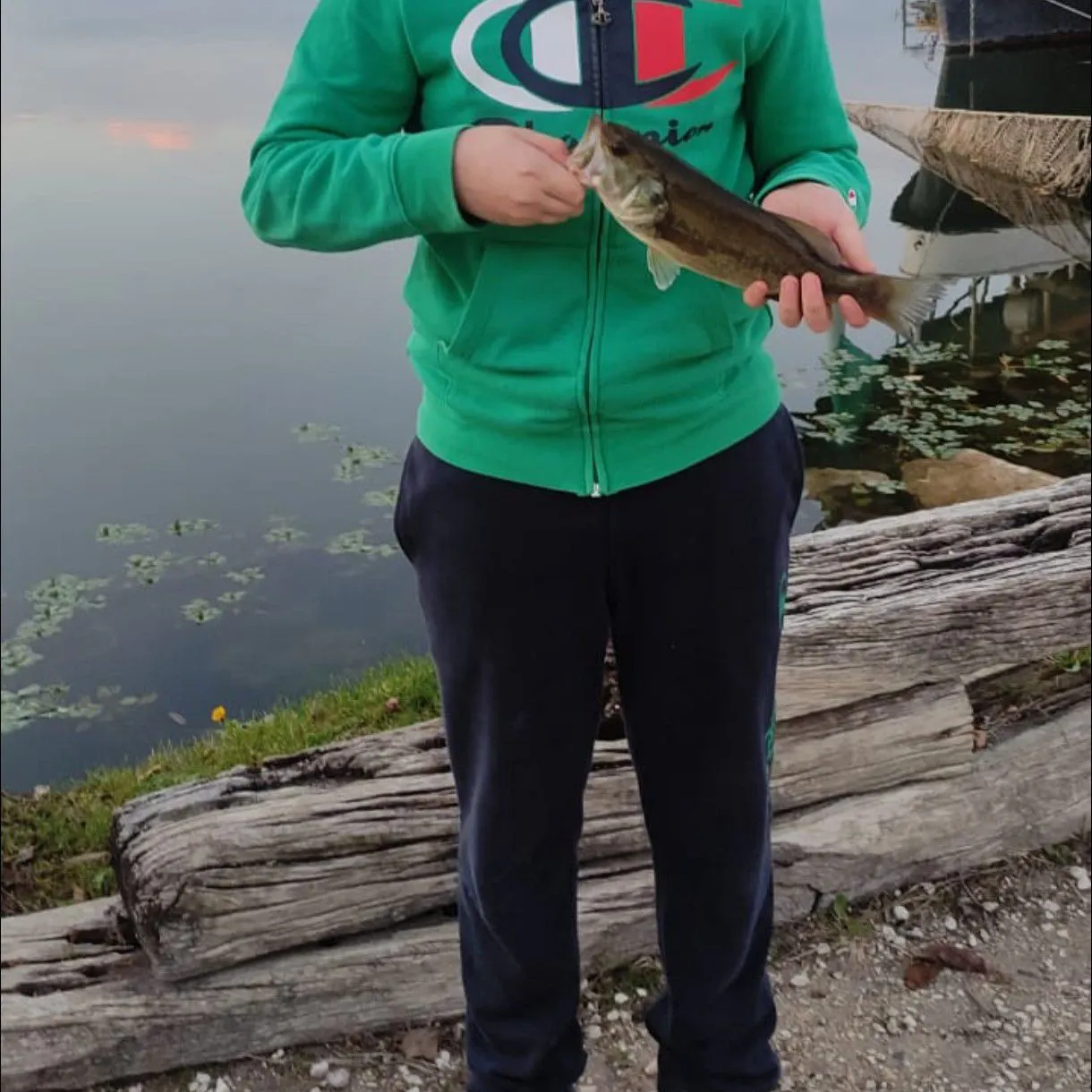 Largemouth bass caught on Fishbrain