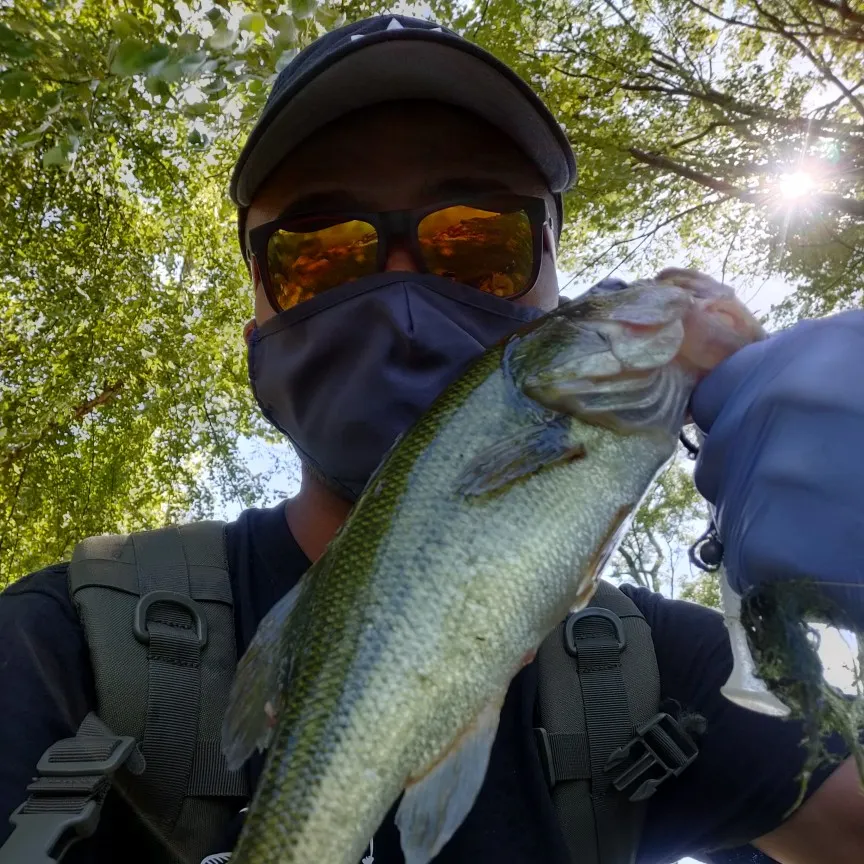 angler catch