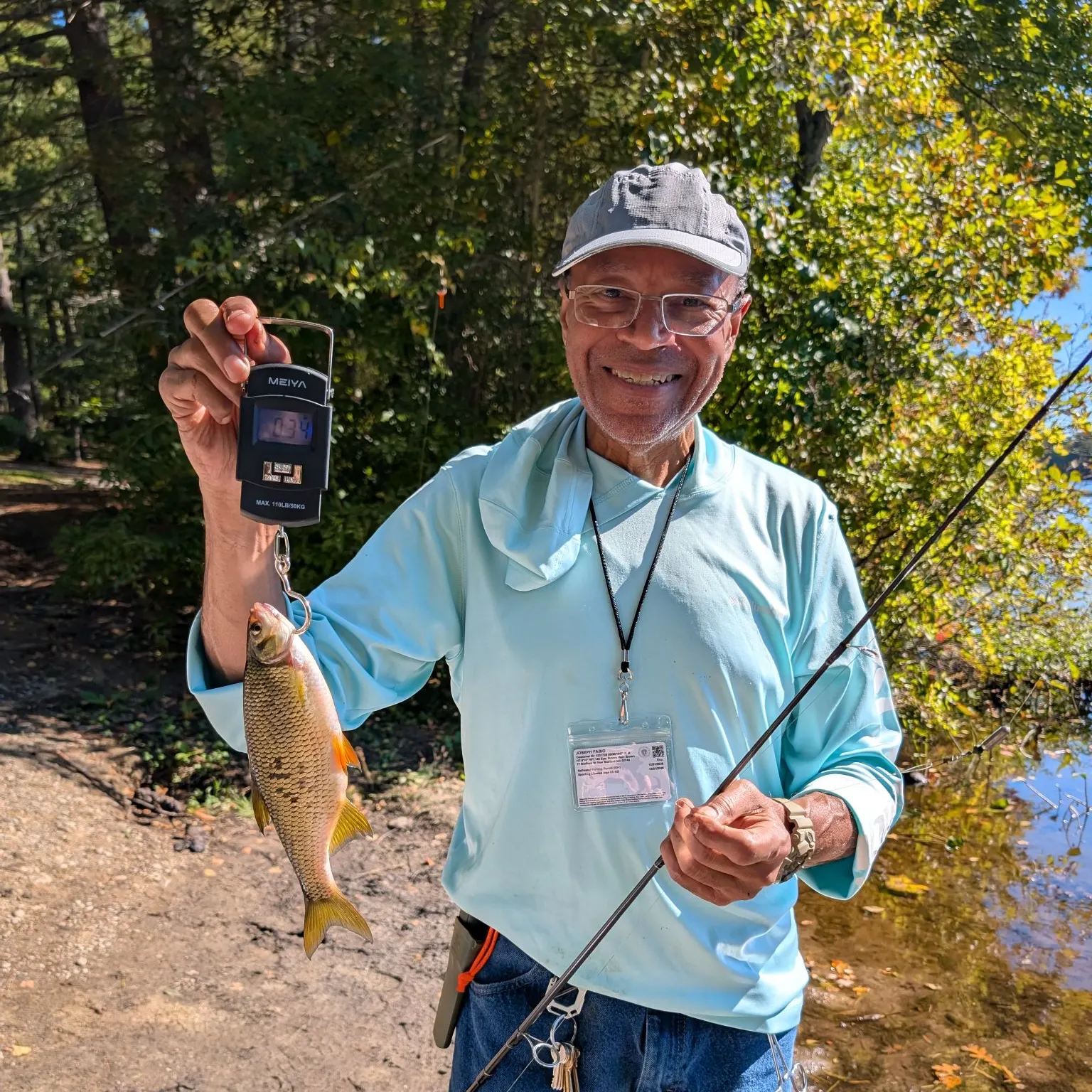 Golden shiner caught on Fishbrain