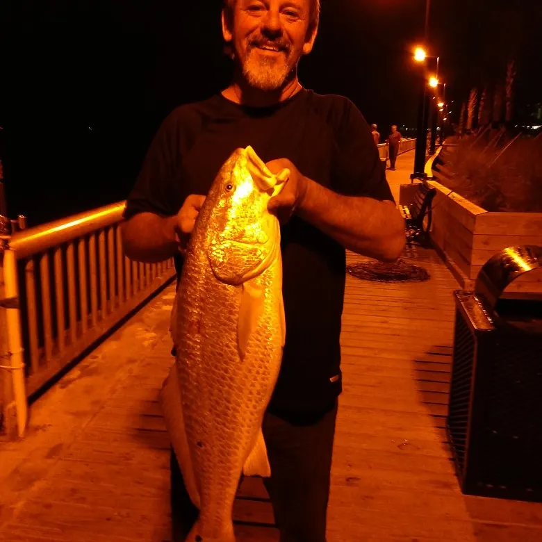 angler catch