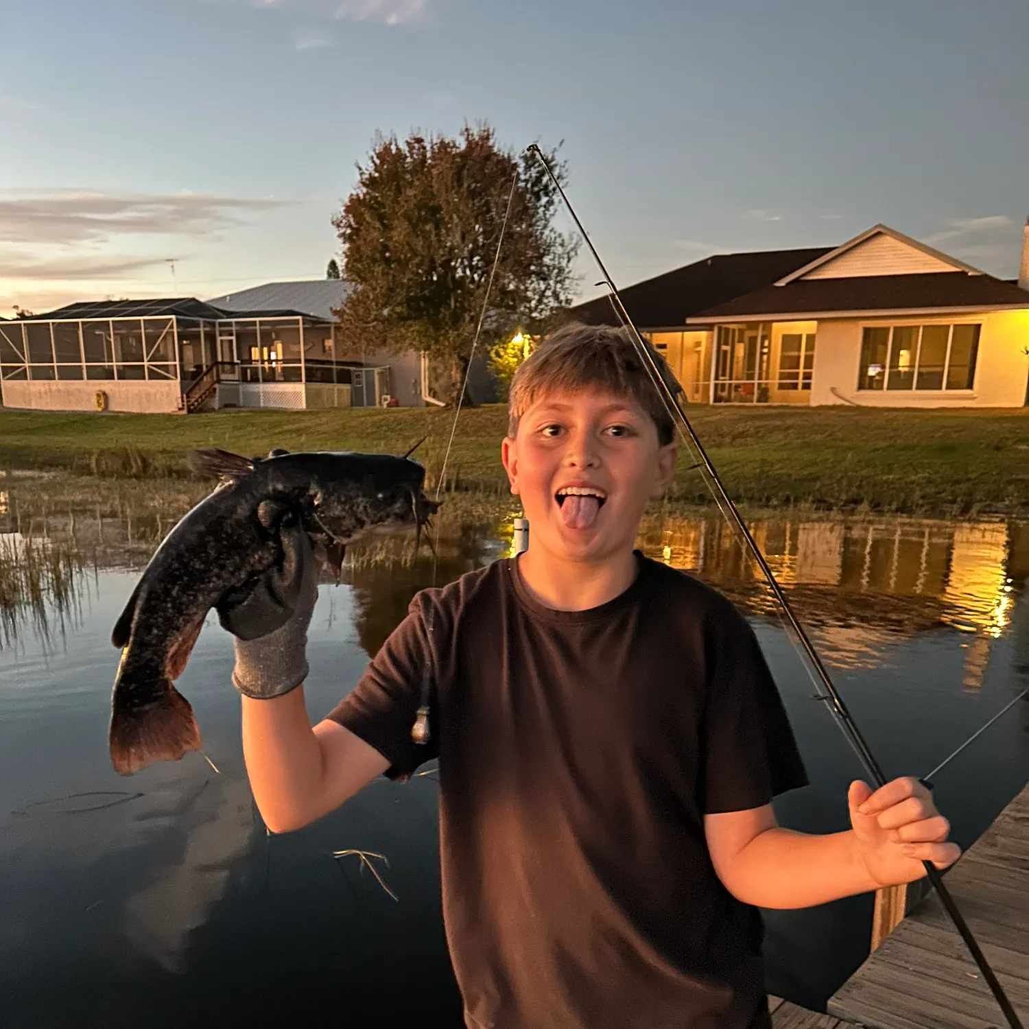 The most recent Brown bullhead catches on Fishbrain
