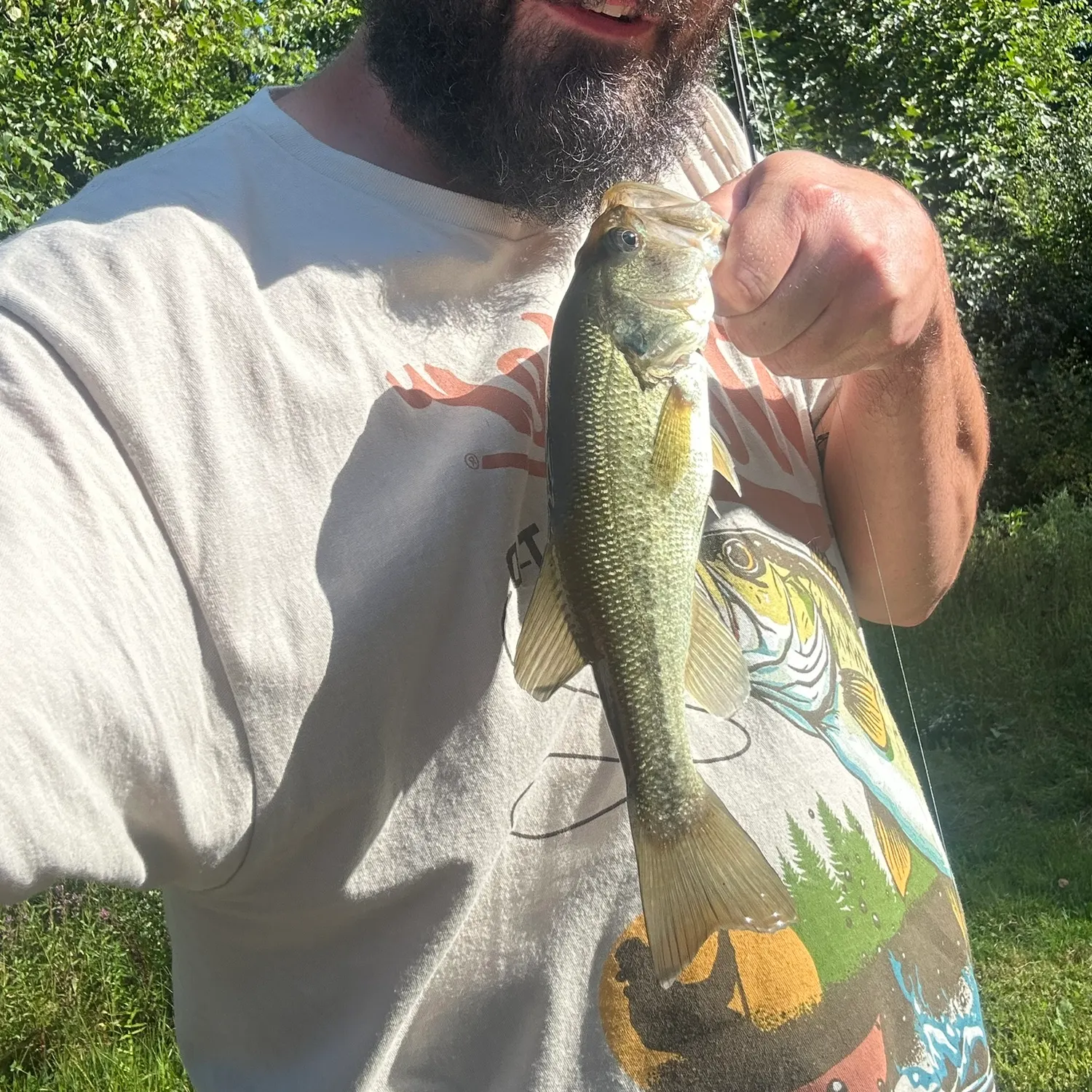 Largemouth bass caught on Fishbrain