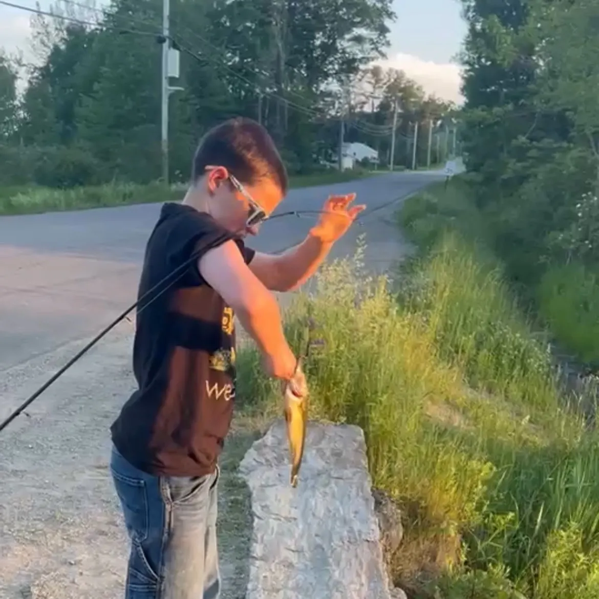 recently logged catches