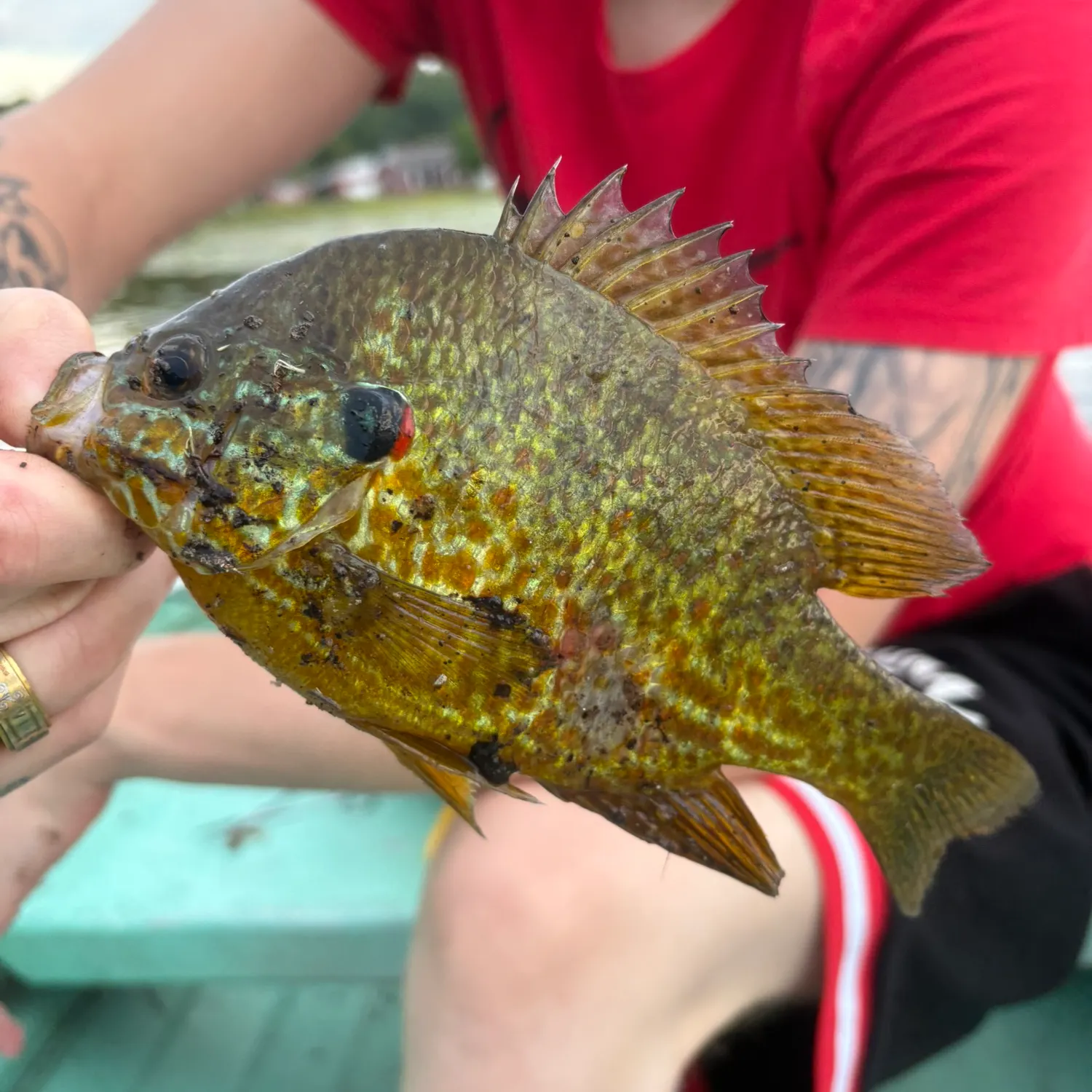 catch