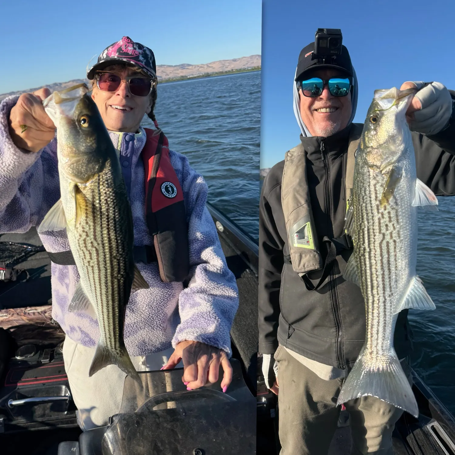 Striped bass caught on Fishbrain