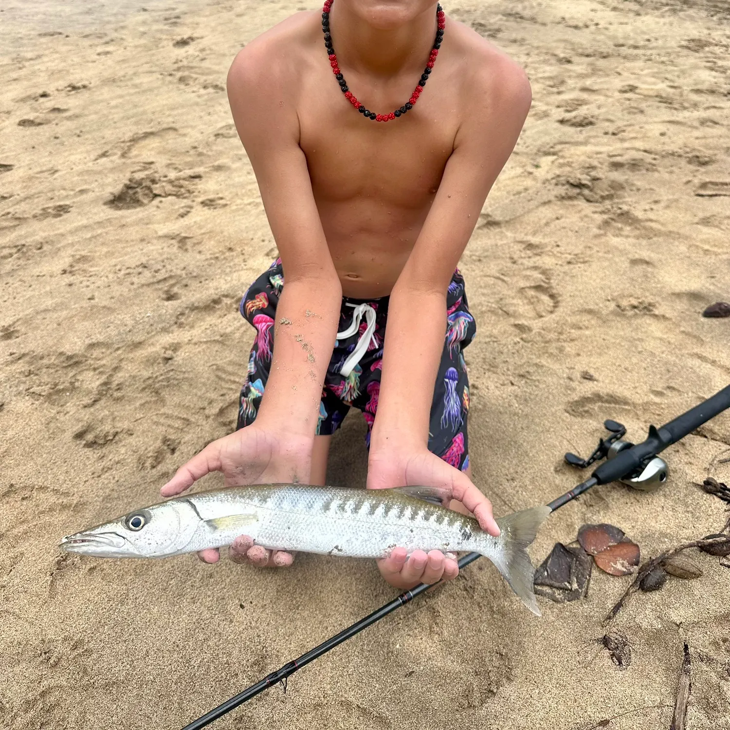 The most recent Great barracuda catches on Fishbrain