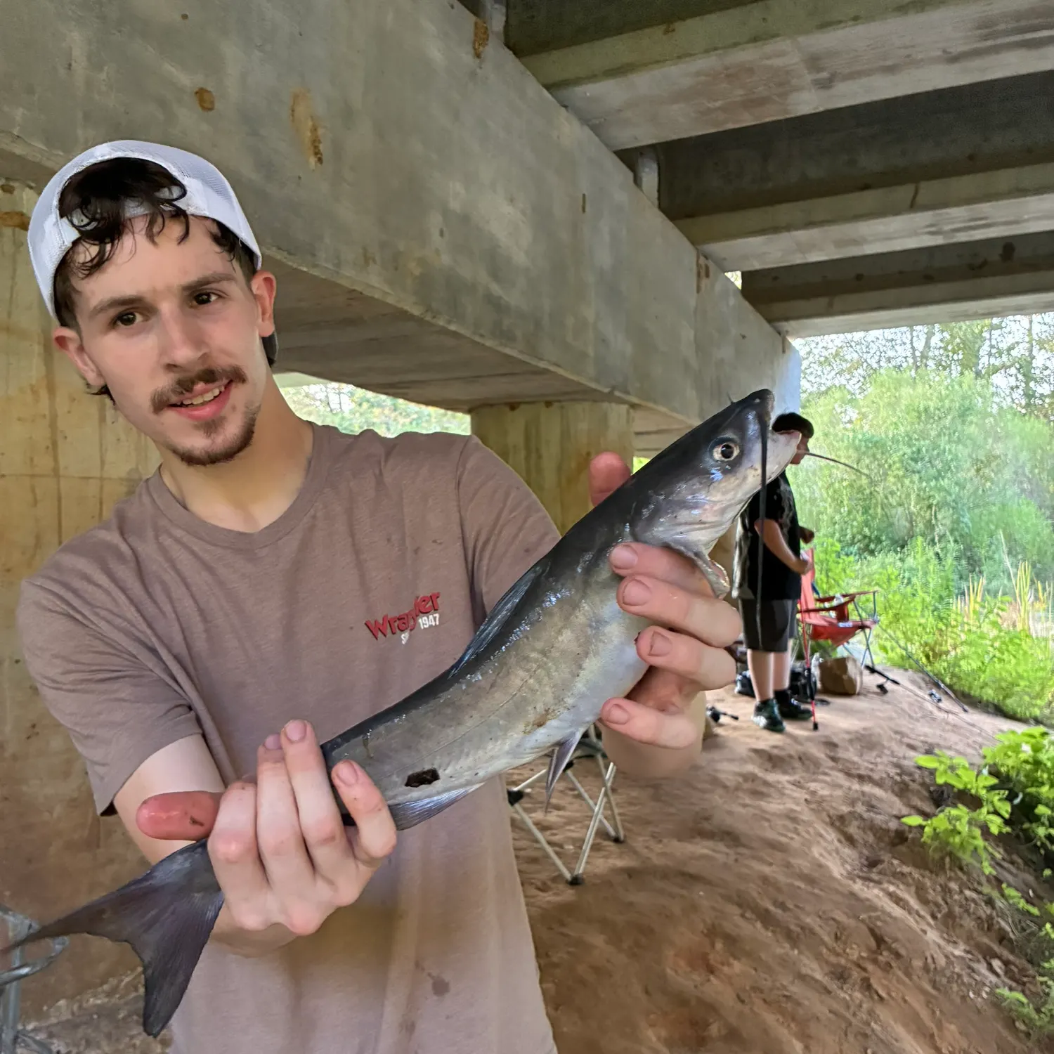 Blue catfish caught on Fishbrain