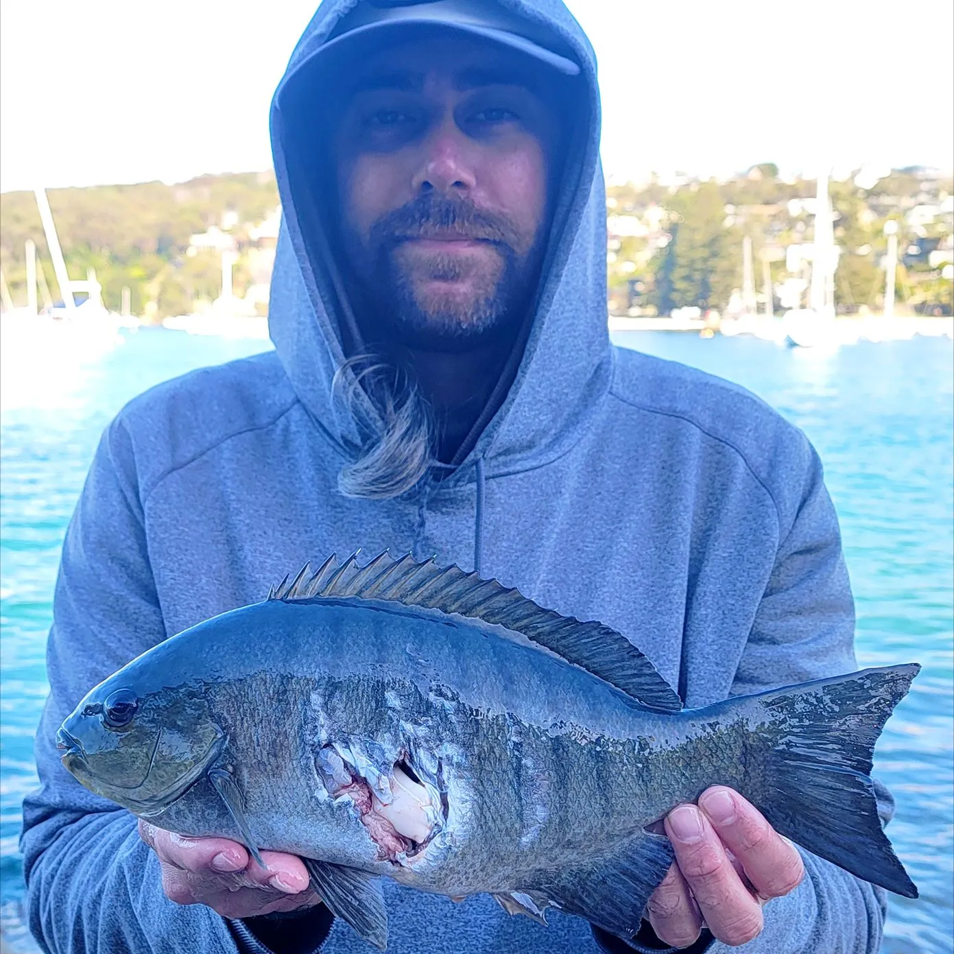 The most recent Luderick catches on Fishbrain