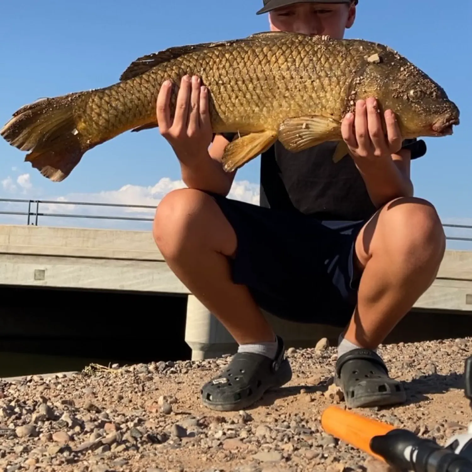 The most recent Common carp catches on Fishbrain