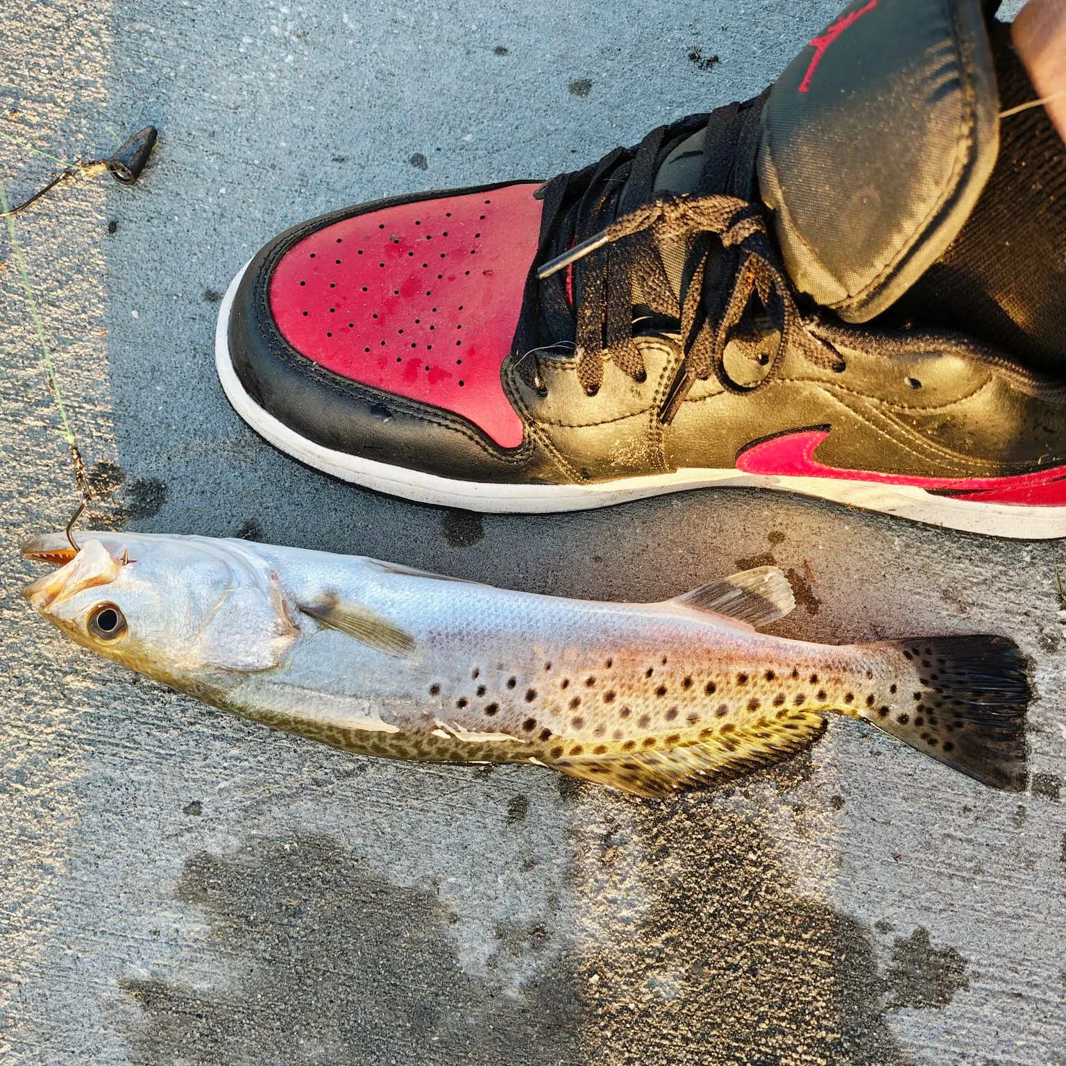 catch