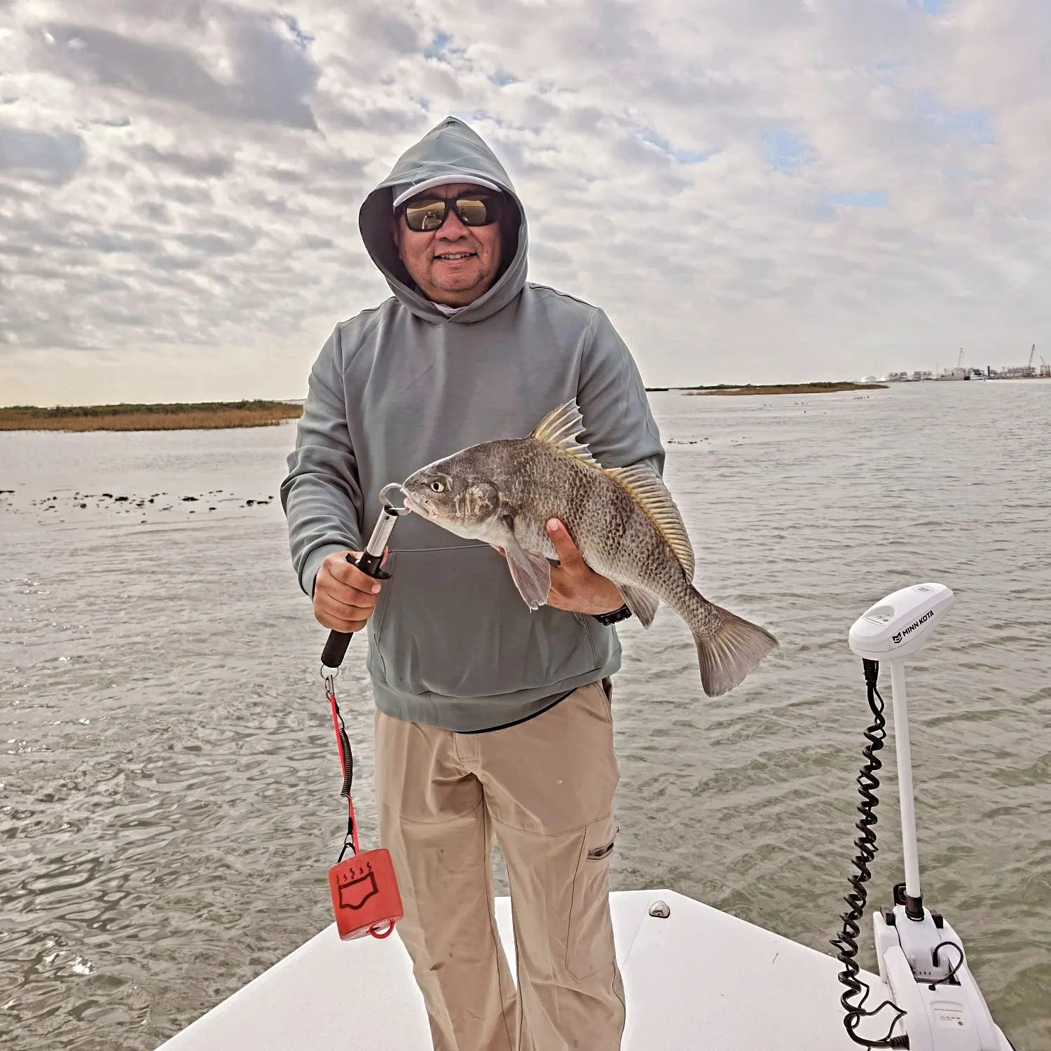 The most recent Black drum catches on Fishbrain