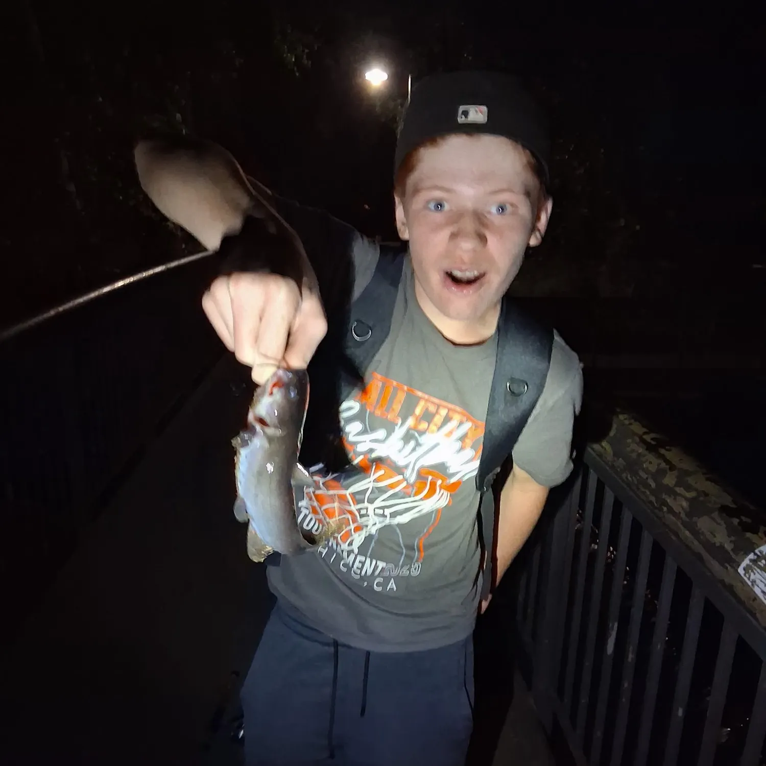 The most recent White bullhead catches on Fishbrain