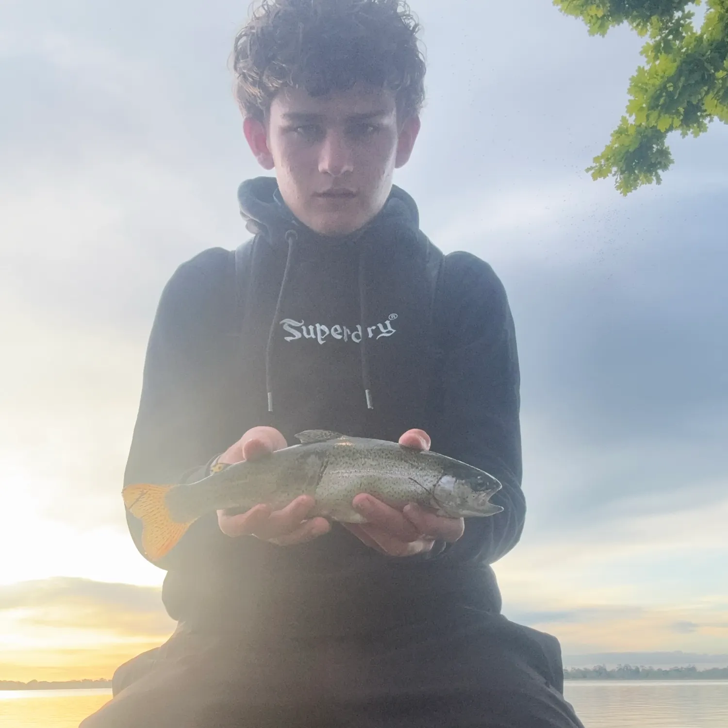 Rainbow trout caught on Fishbrain