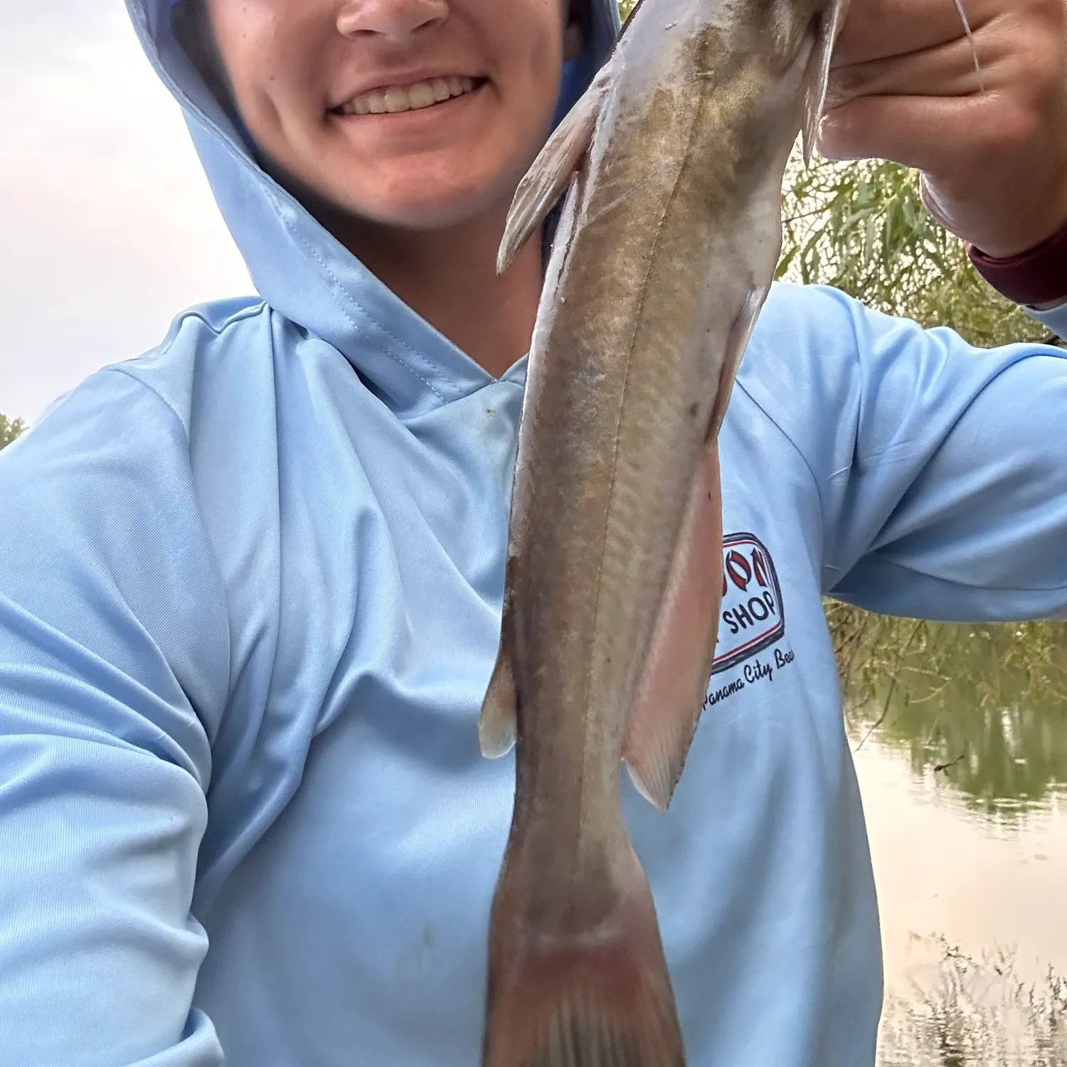 Channel catfish caught on Fishbrain