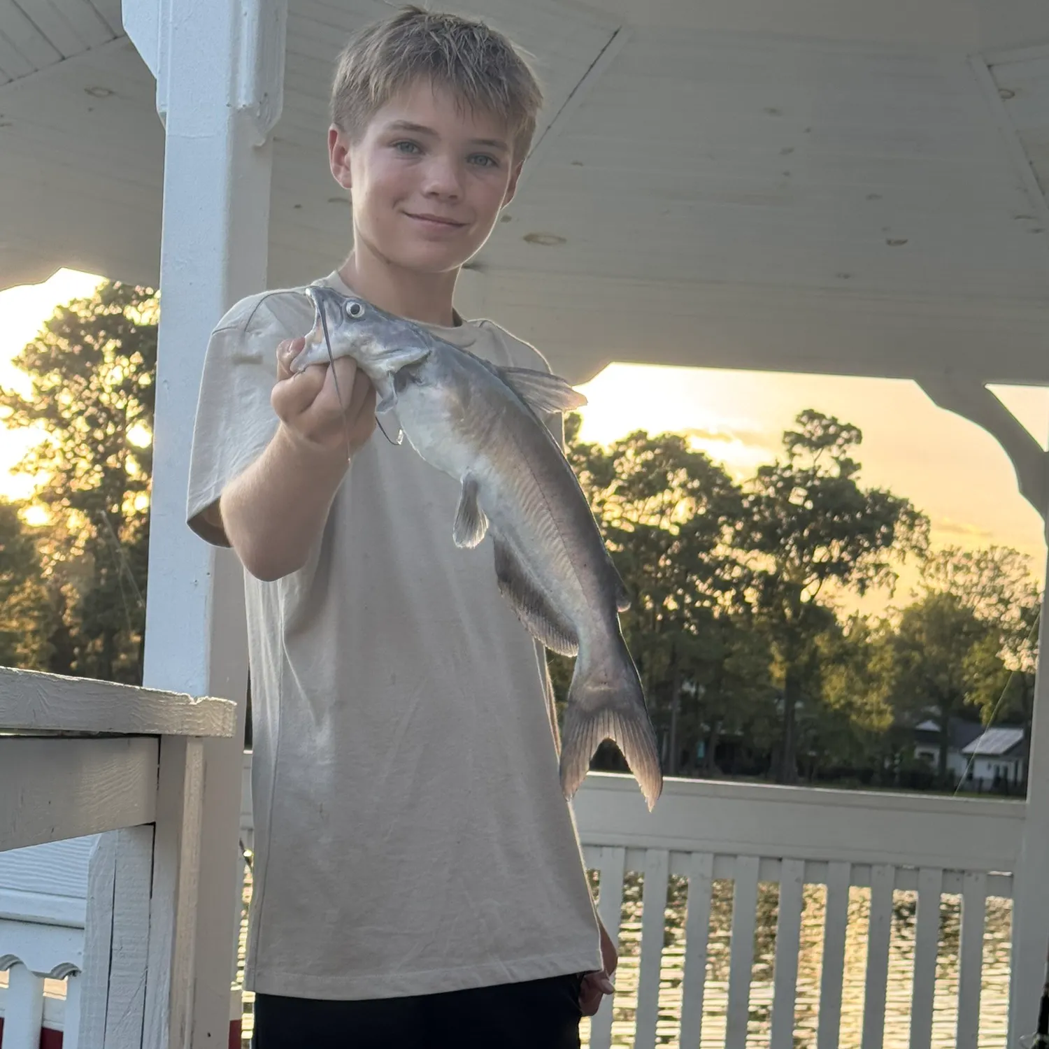 Channel catfish caught on Fishbrain