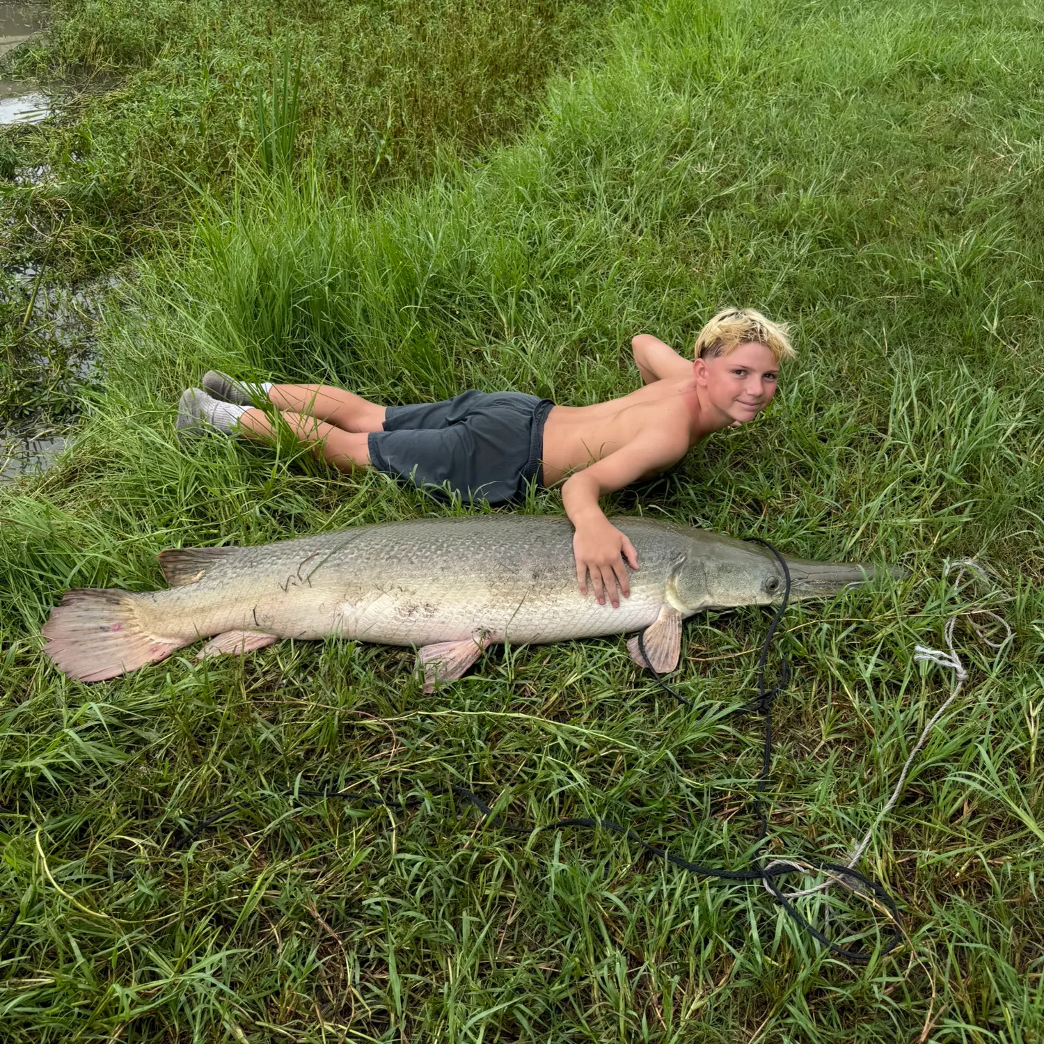 Alligator gar caught on Fishbrain