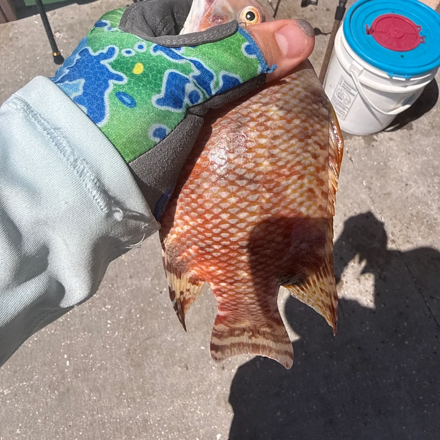 catch