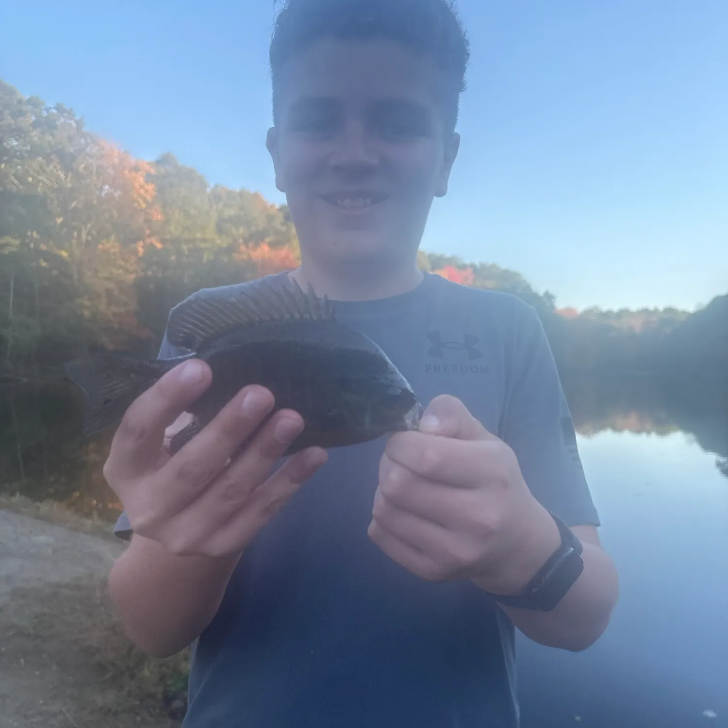 Bluegill caught on Fishbrain