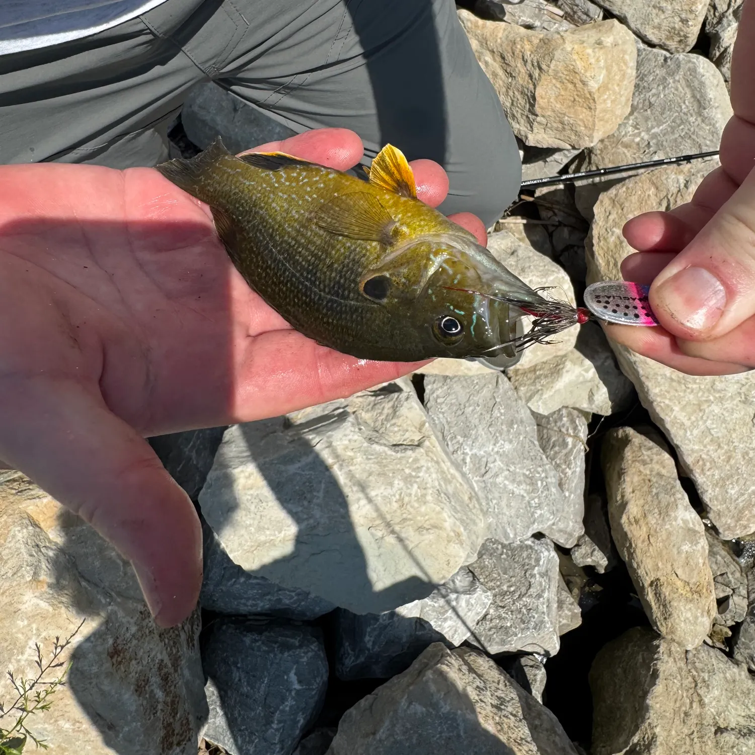 catch