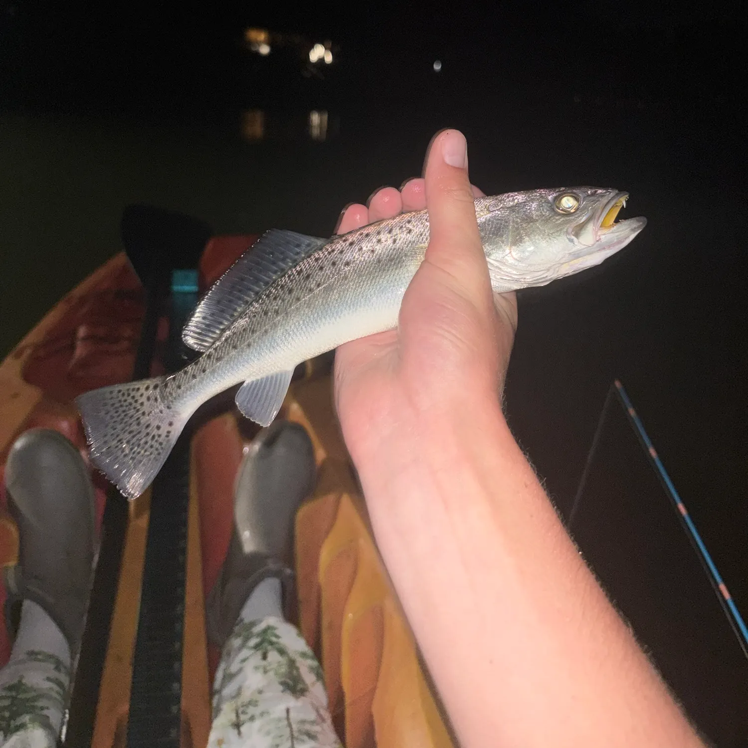 Spotted seatrout caught on Fishbrain
