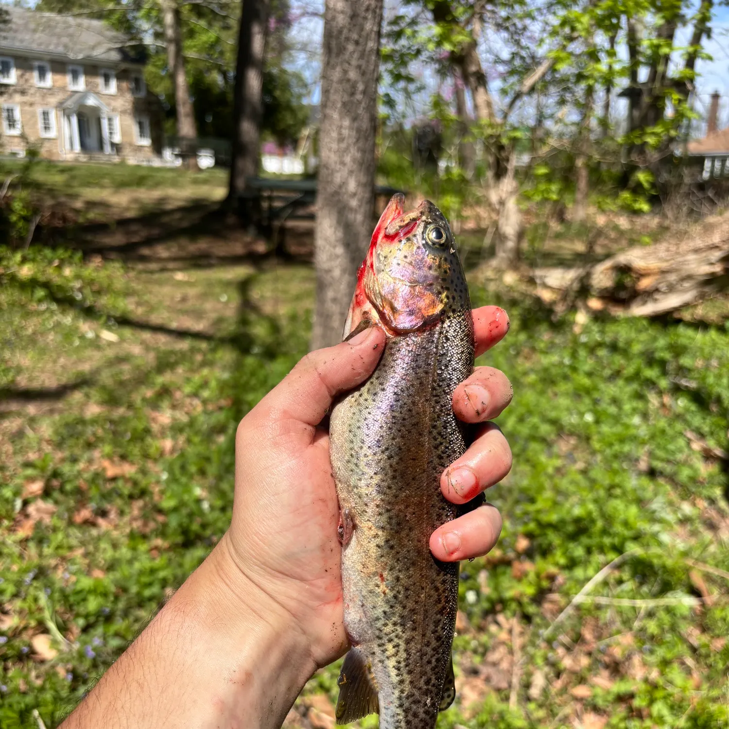 catch