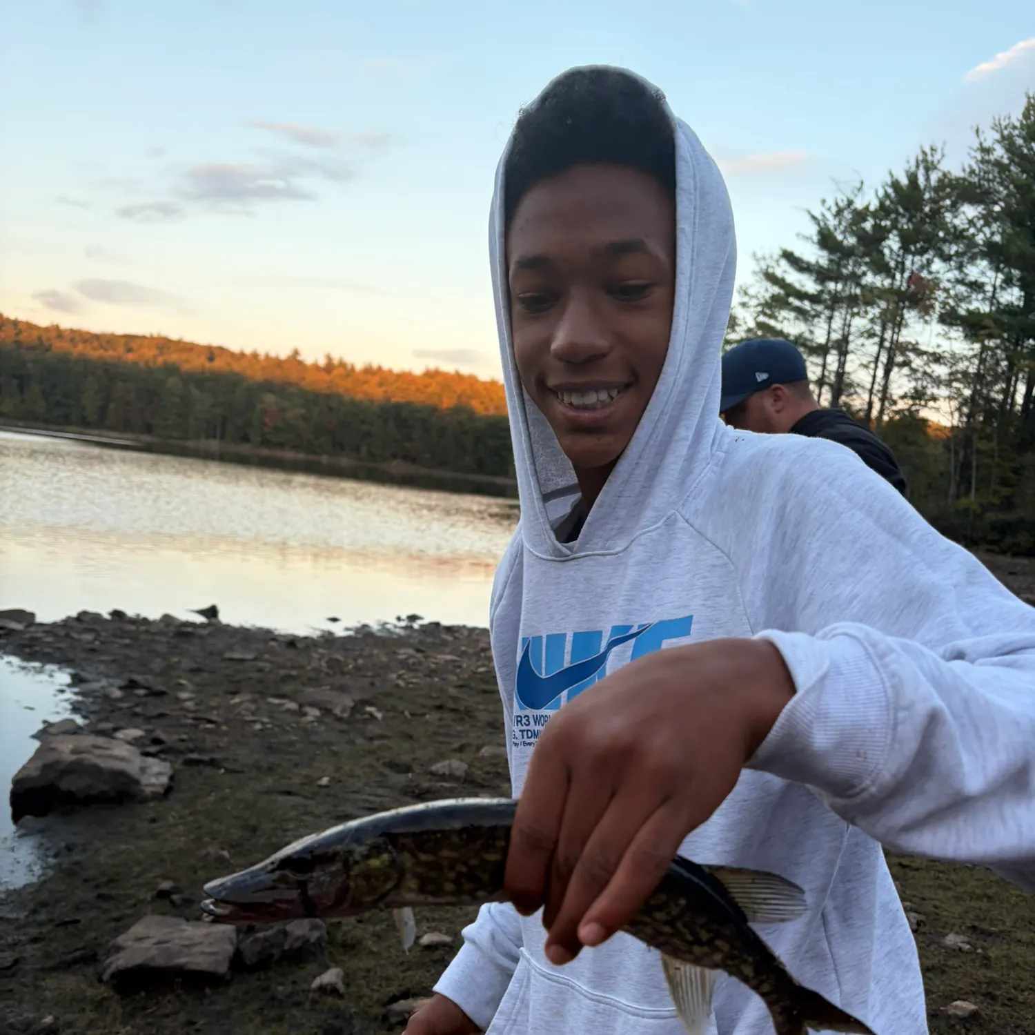 Chain pickerel caught on Fishbrain