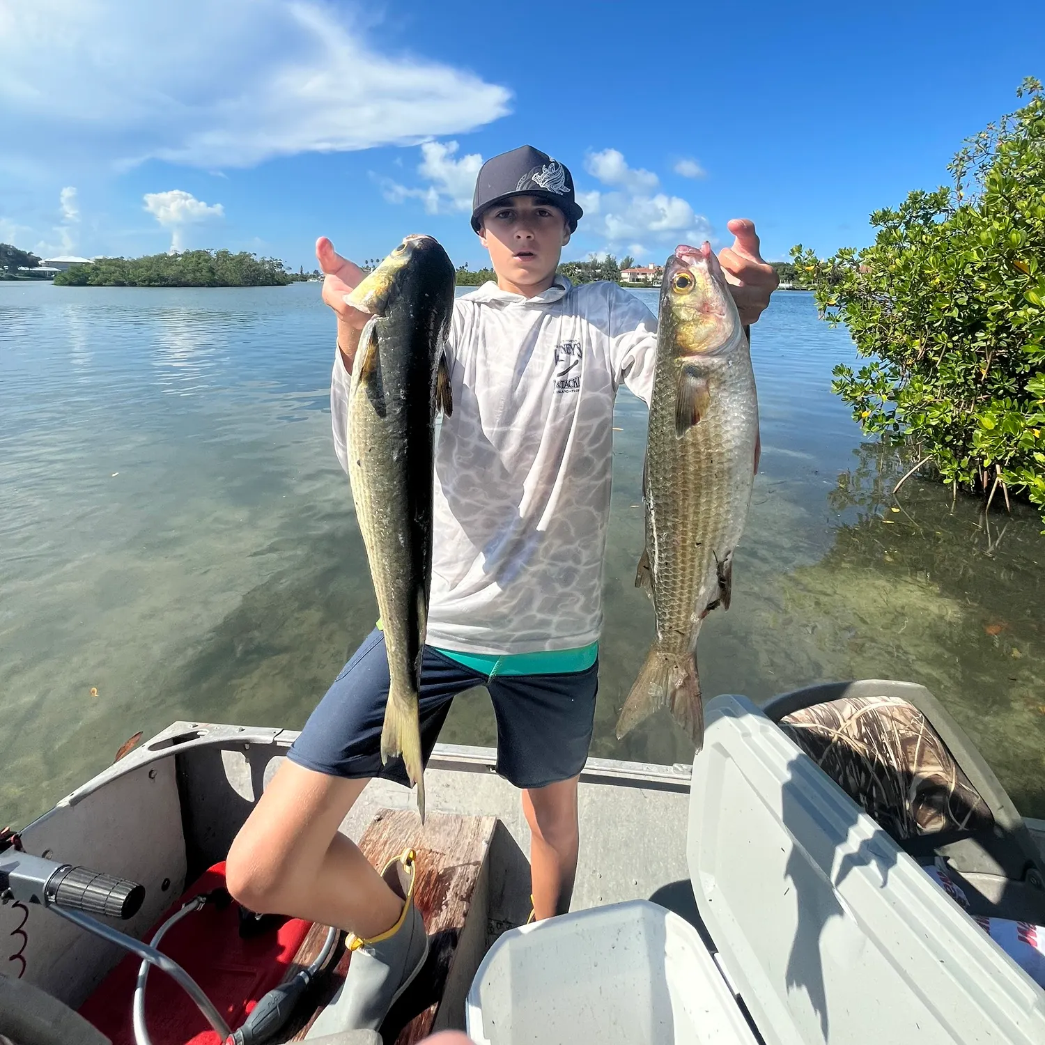Striped mullet caught on Fishbrain