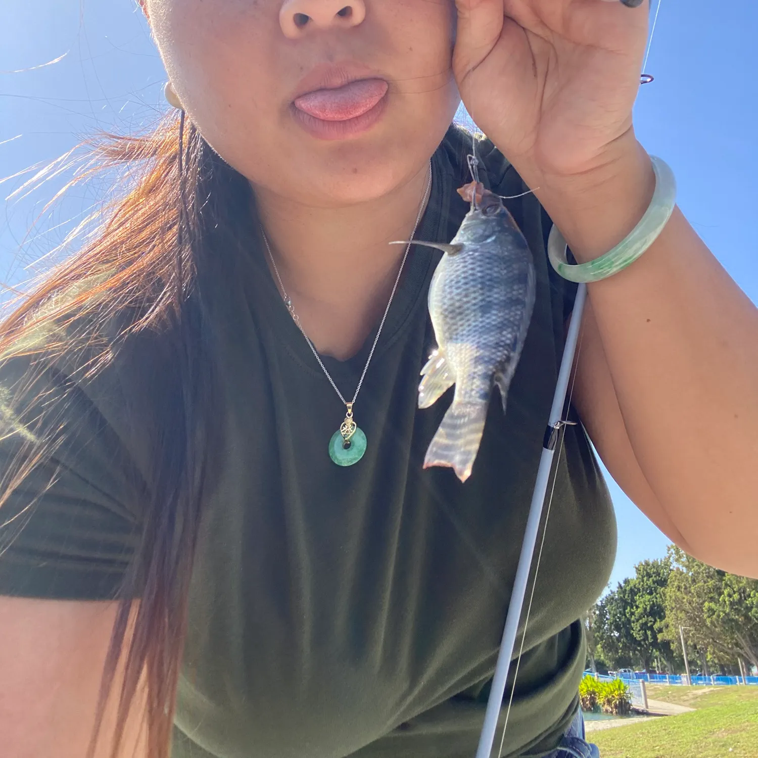Nile tilapia caught on Fishbrain