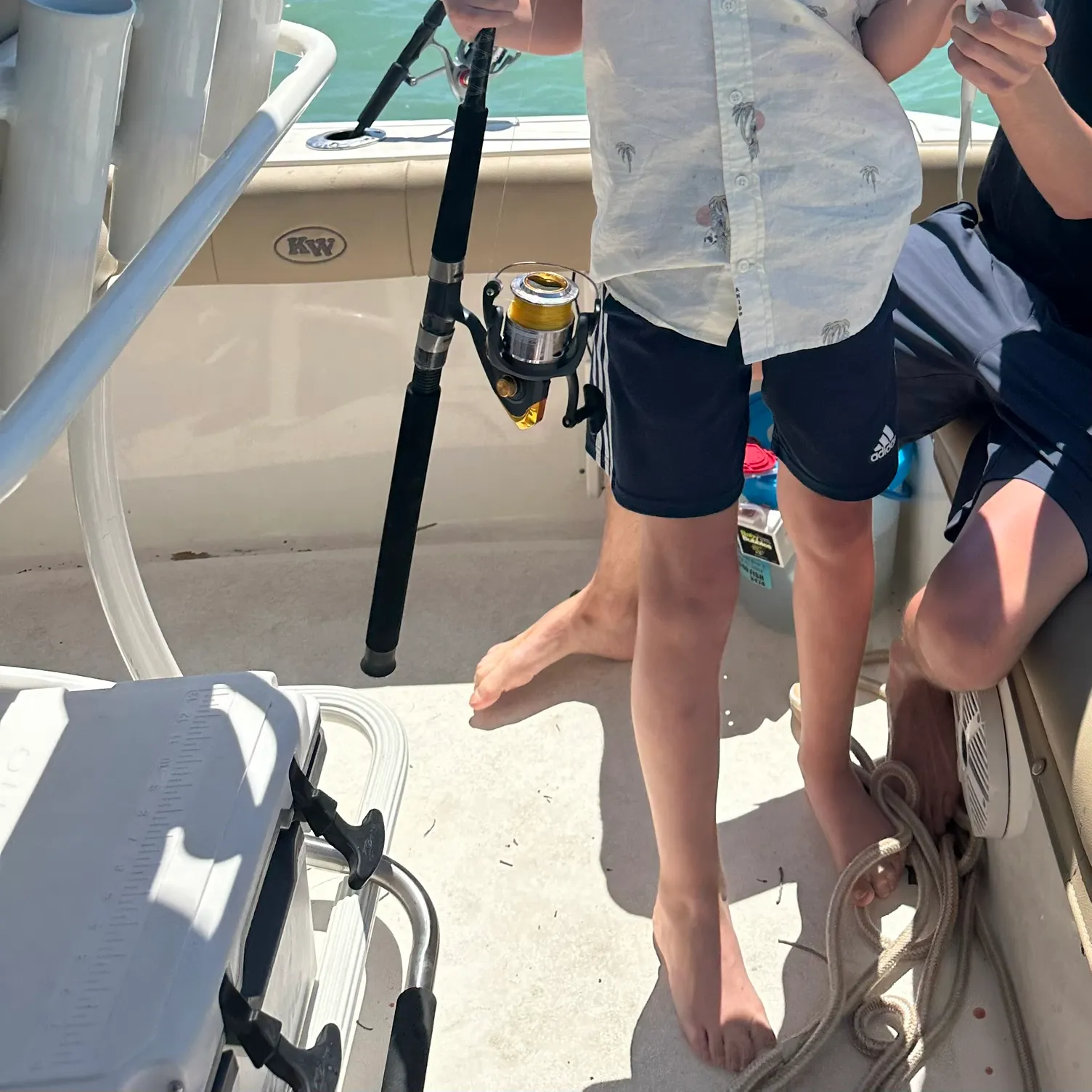 The most recent Great hammerhead shark catches on Fishbrain