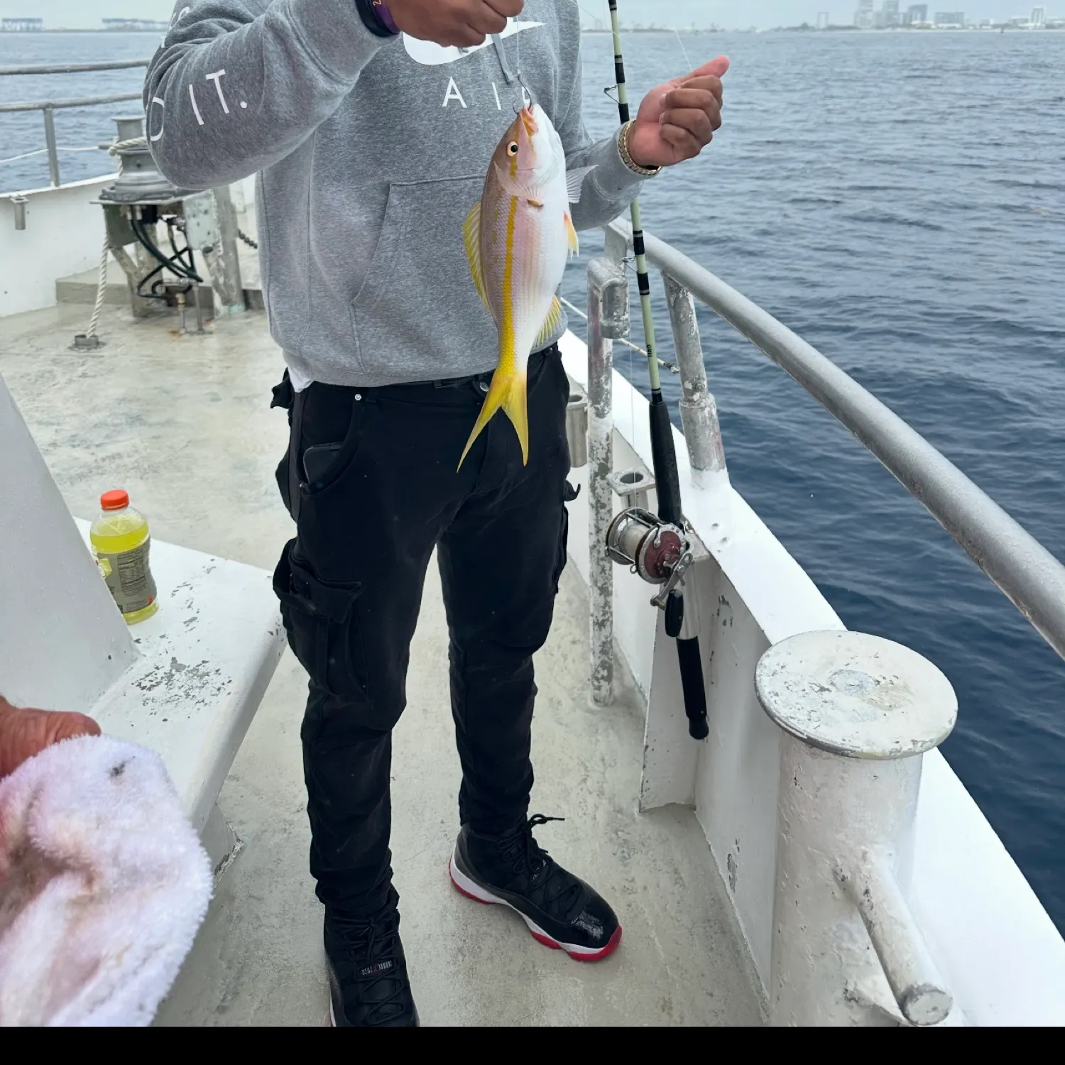 The most recent Yellowtail snapper catches on Fishbrain