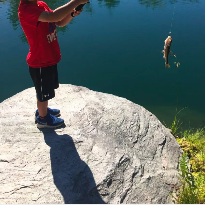 The most recent June sucker catches on Fishbrain