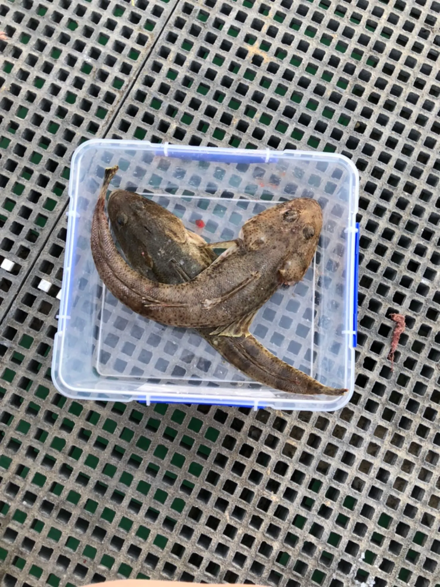 Post image from jfletcher8277