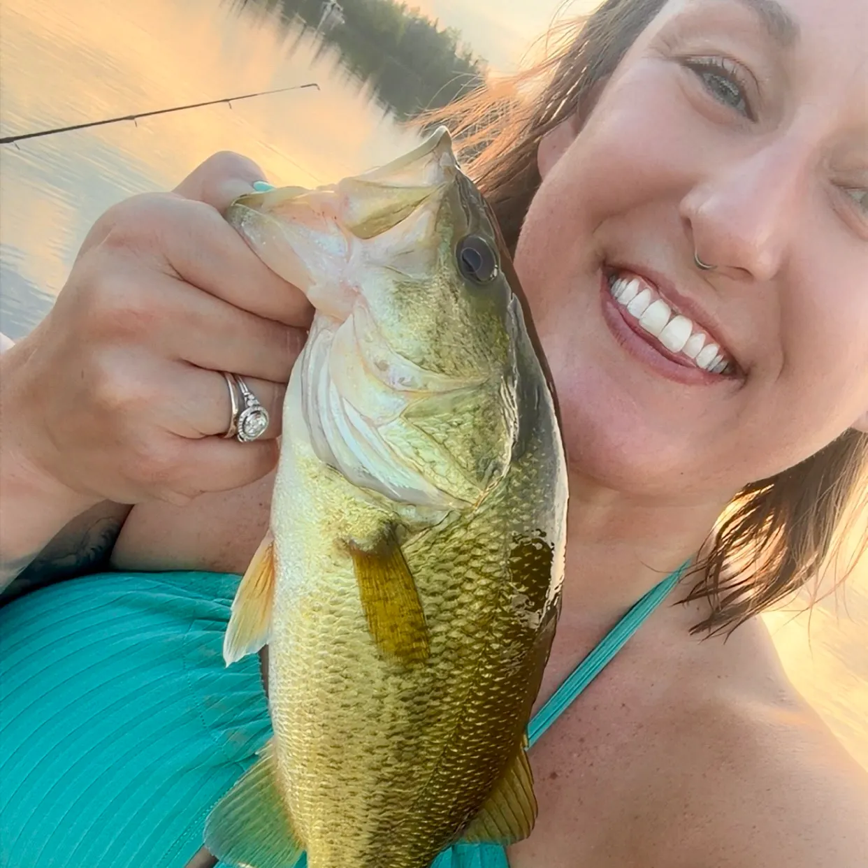 Largemouth bass caught on Fishbrain